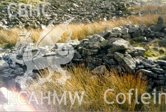 Digital colour photograph showing site 70m (Tarren Lluest-fforch-ddu), showing central structure with storage recess on south wall (at left) - used in the Glamorgan-Gwent Archaeological Trust Report on the deserted rural settlements of Glamorgan.