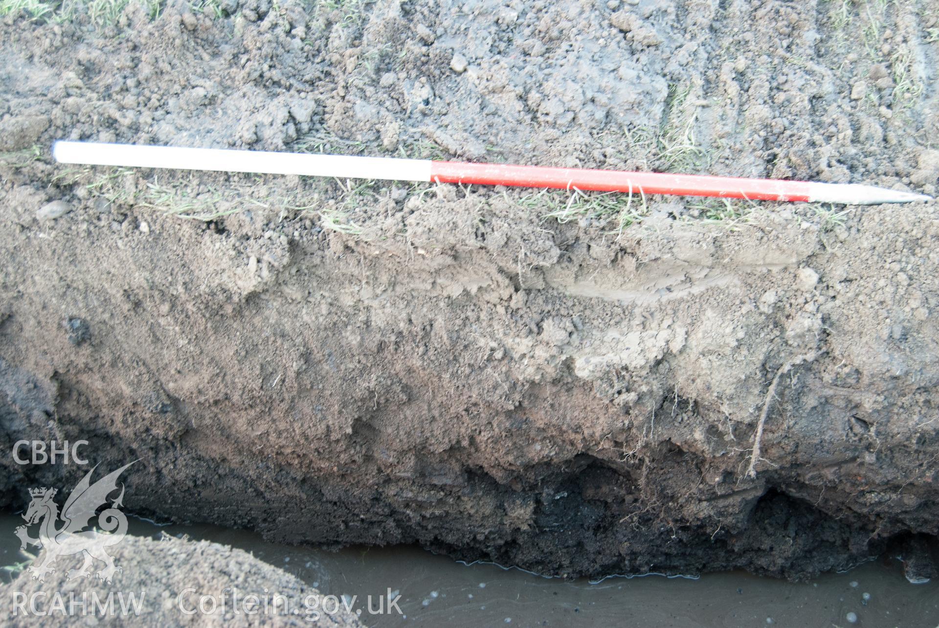 View from south showing south facing section of trench by first transformer