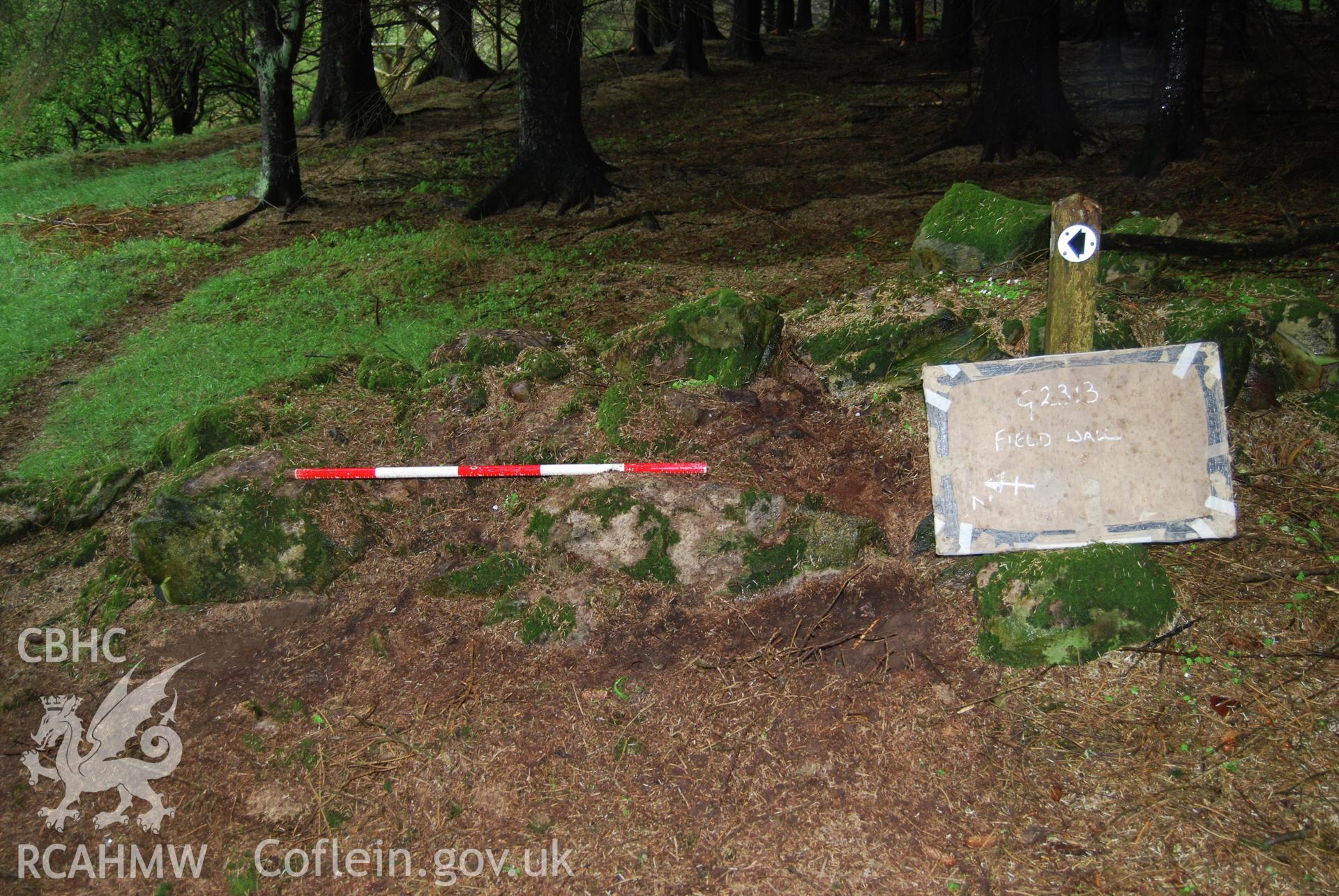 Photo showing 'Pre-ex shot of section of field boundary wall to be removed' from Archaeological Watching Brief of Nant Gwrtheyrn Lower Car Park, Nant Gwrtheyrn, Gwynedd produced by Gwynedd Archaeological Trust in 2013, Project No. G2313, Report No.1208.