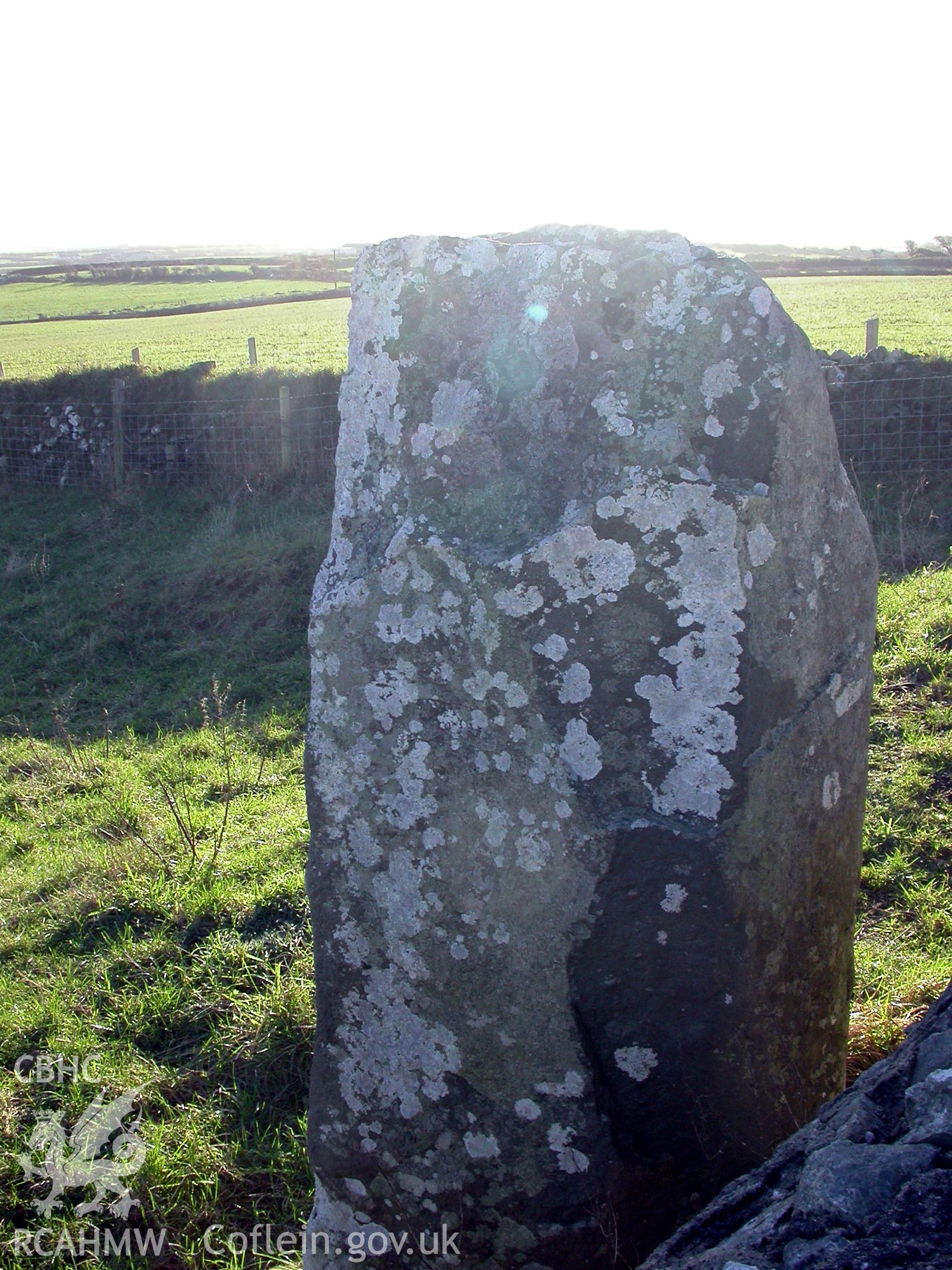 Bodfeddan Inscribed Stone from North.