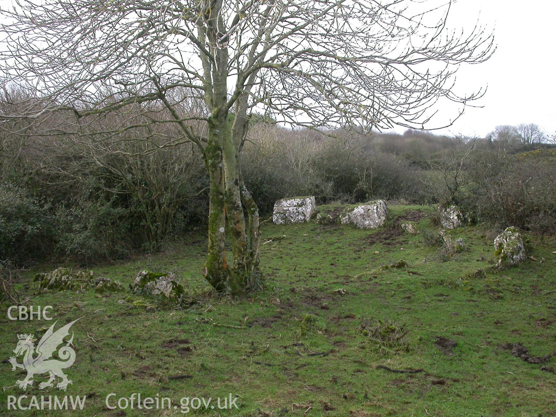 Coed-y-Glyn Hut Group, hut circle from north-east.