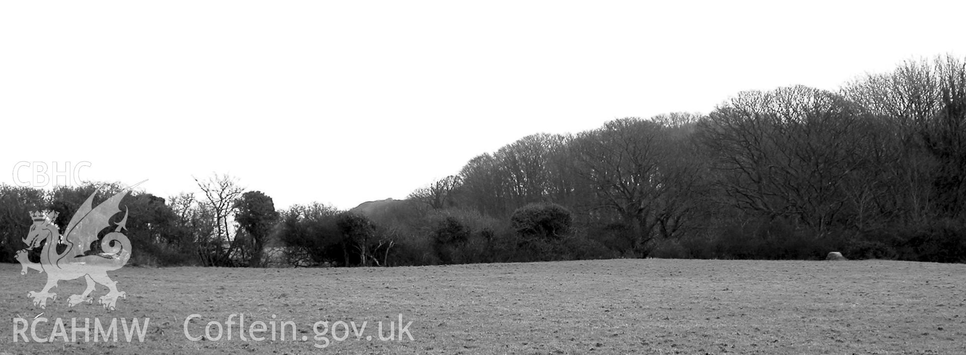 Coed-y-Glyn Burial chamber, goosehouse and forward stone from south.