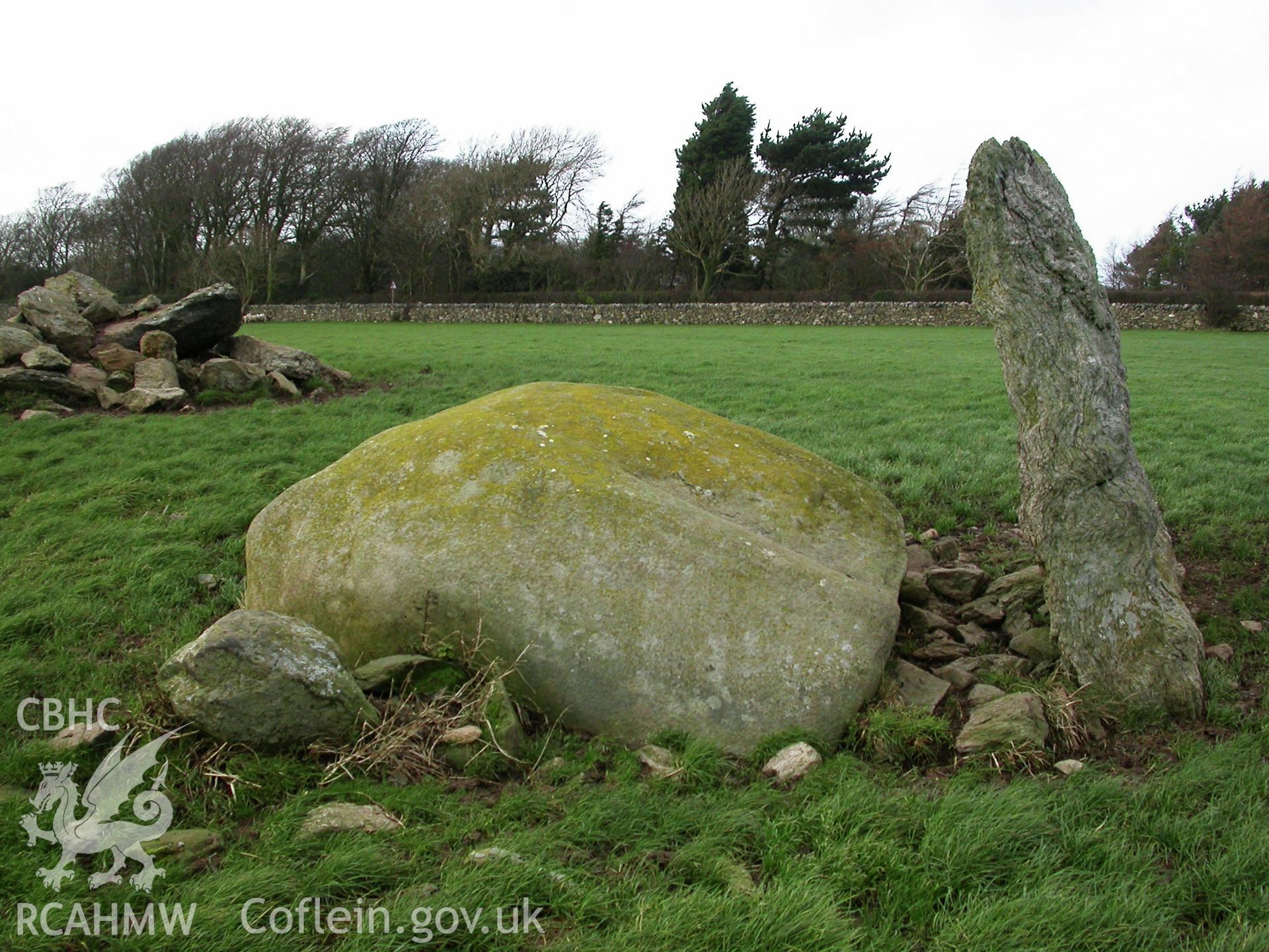 Ucheldref Burial Chambers, east tomb from south-east.