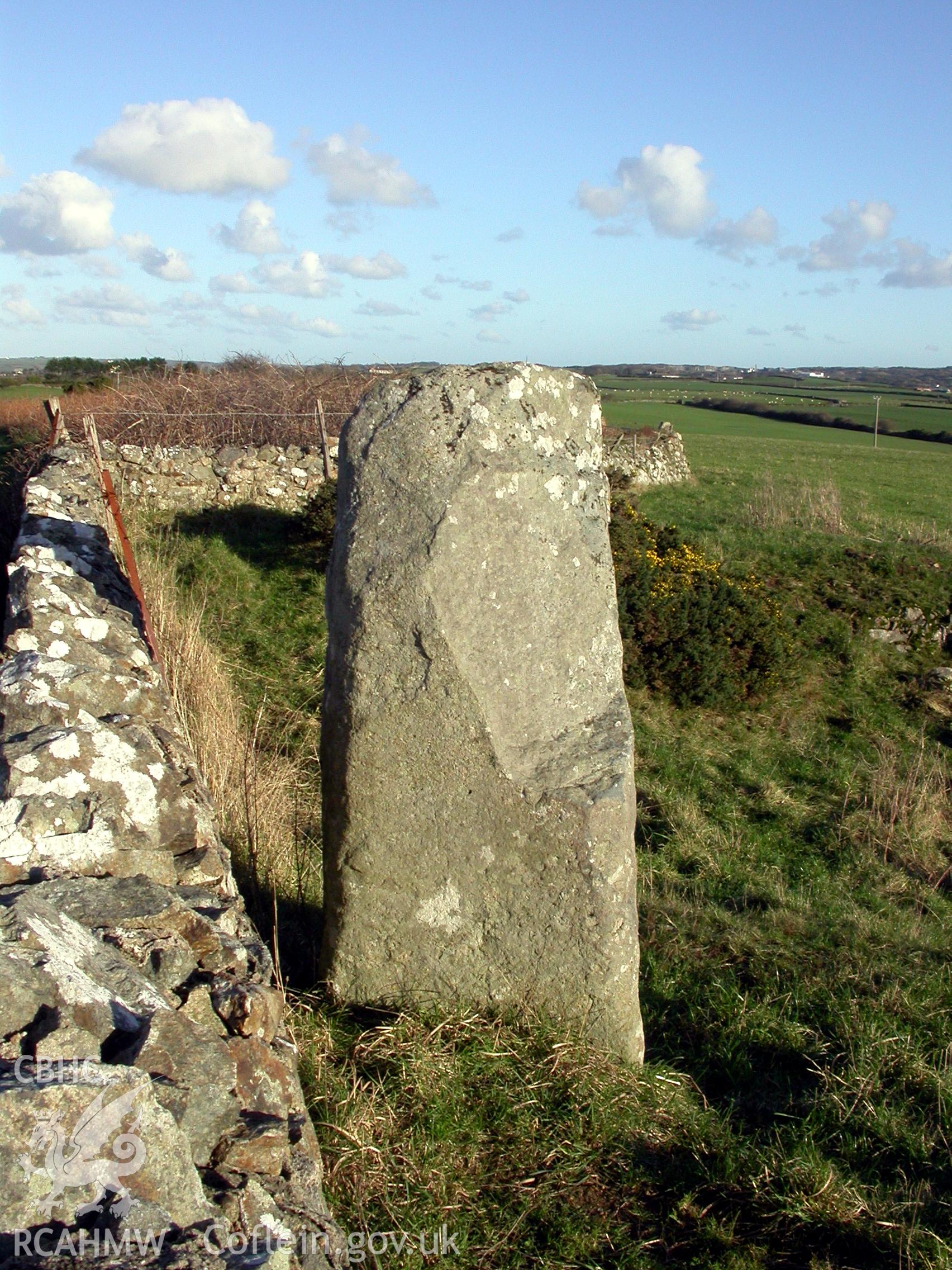 Bodfeddan Inscribed Stone from south-west.