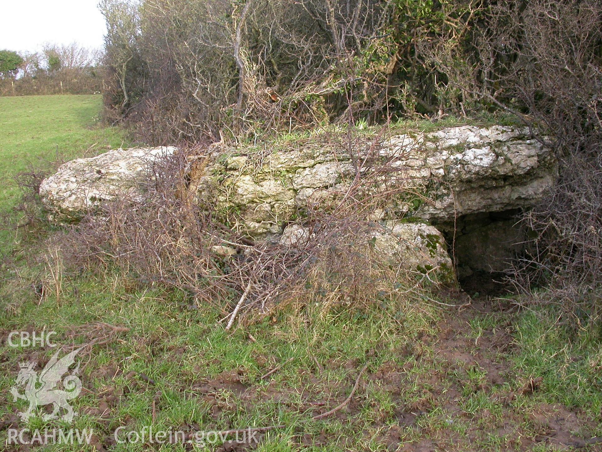 Coed-y-Glyn Burial chamber, goosehouse.