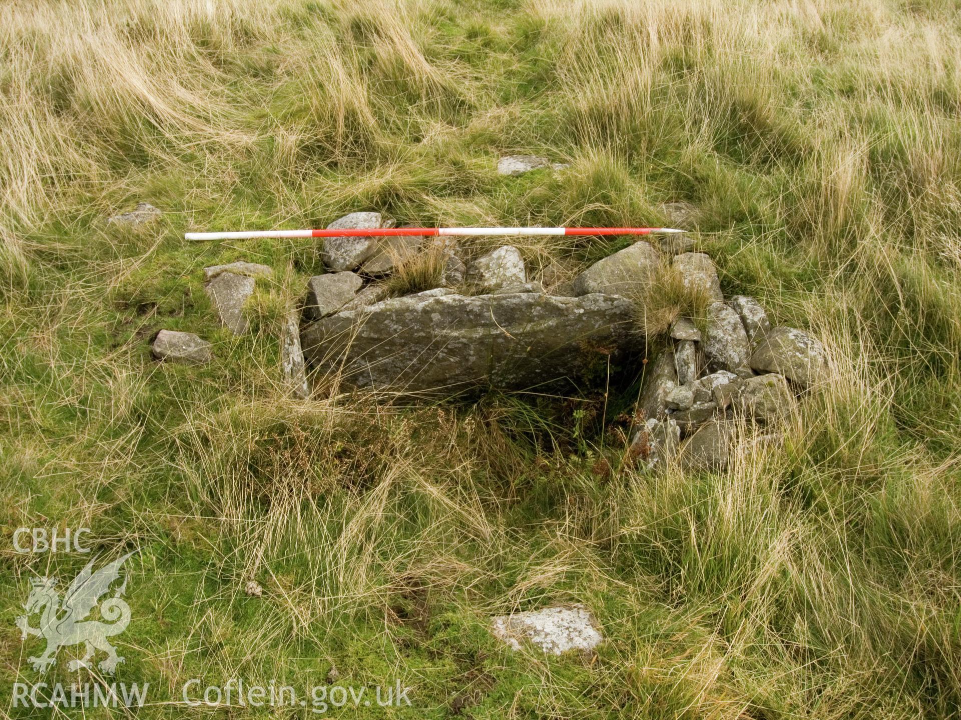 view of central cist.