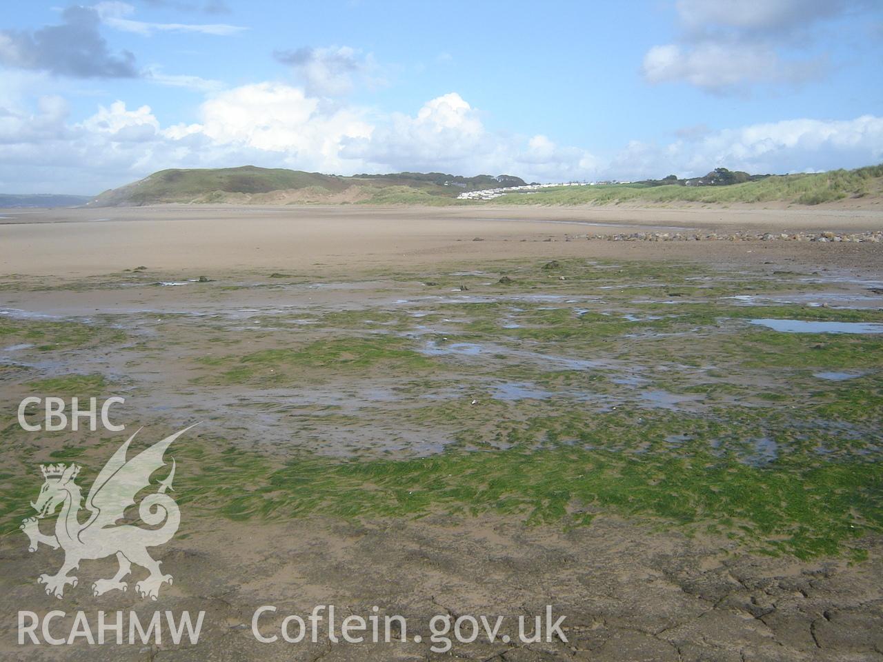 Digital photograph showing Broughton Bay submerged forest, taken by Ian Cundy, October 2012.