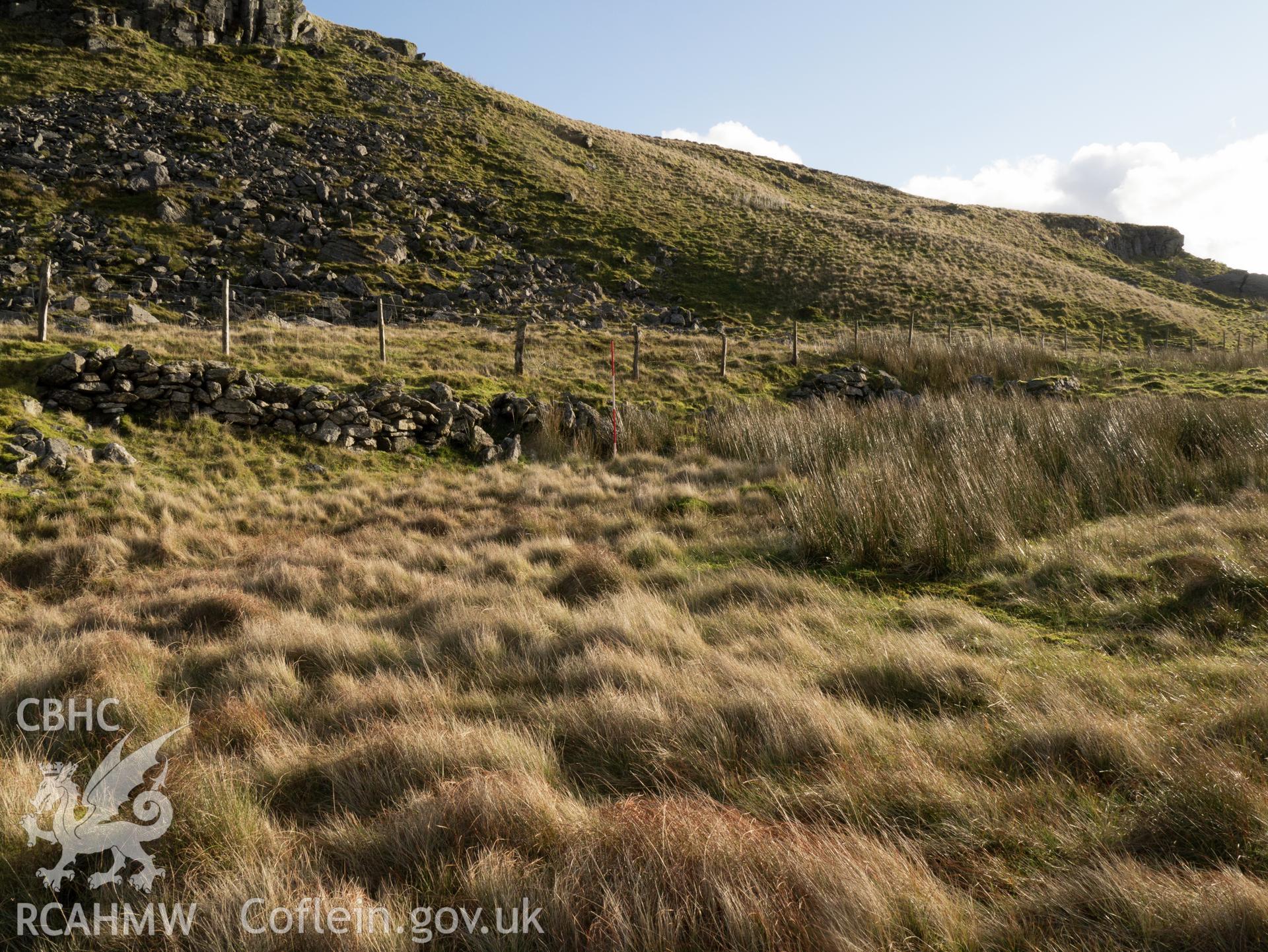 view looking SE of terraced section on hill between Cwm Teigl and Afon Gamallt.