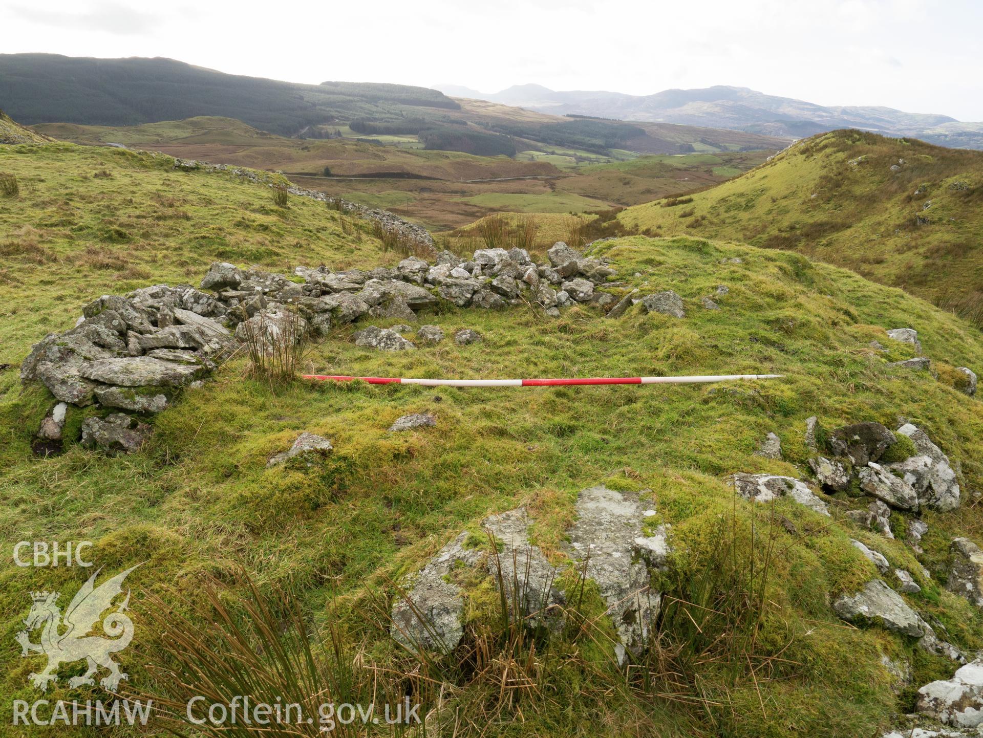 view looking S of levelled area on W side of hillfort.