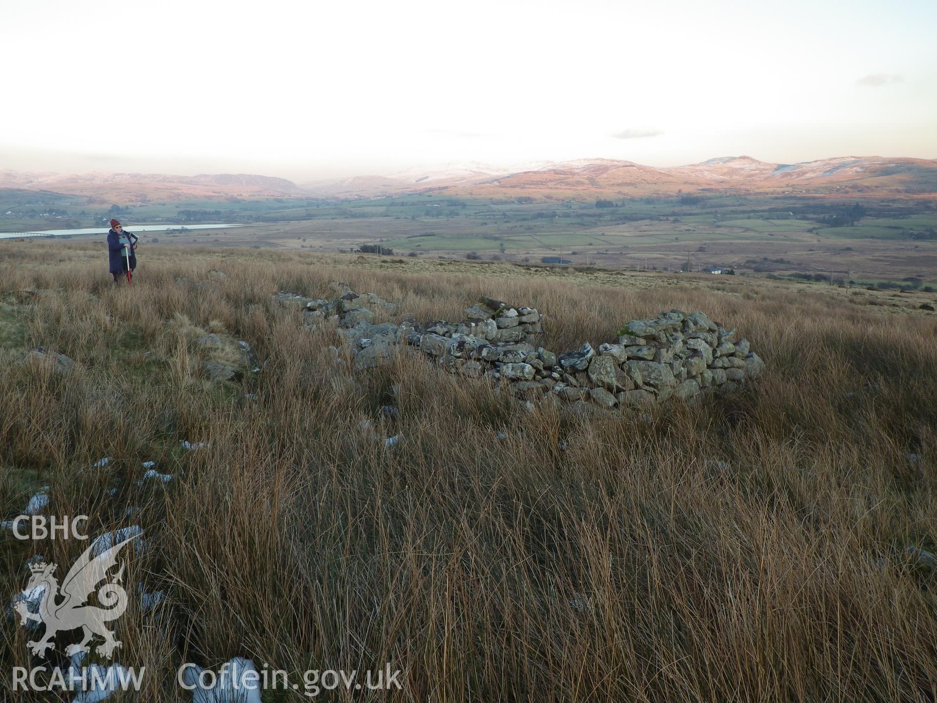 Drystone sheepfold, looking east