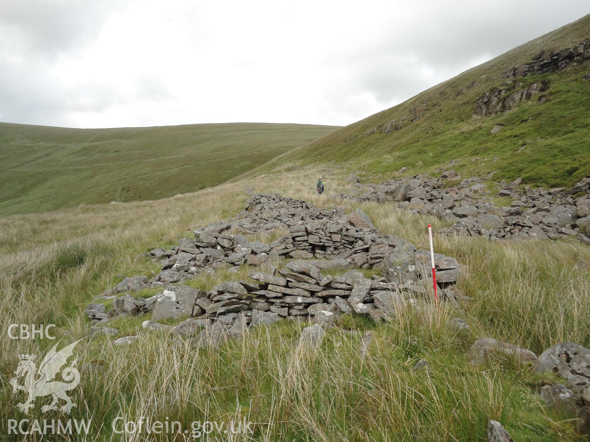 Sheep fold