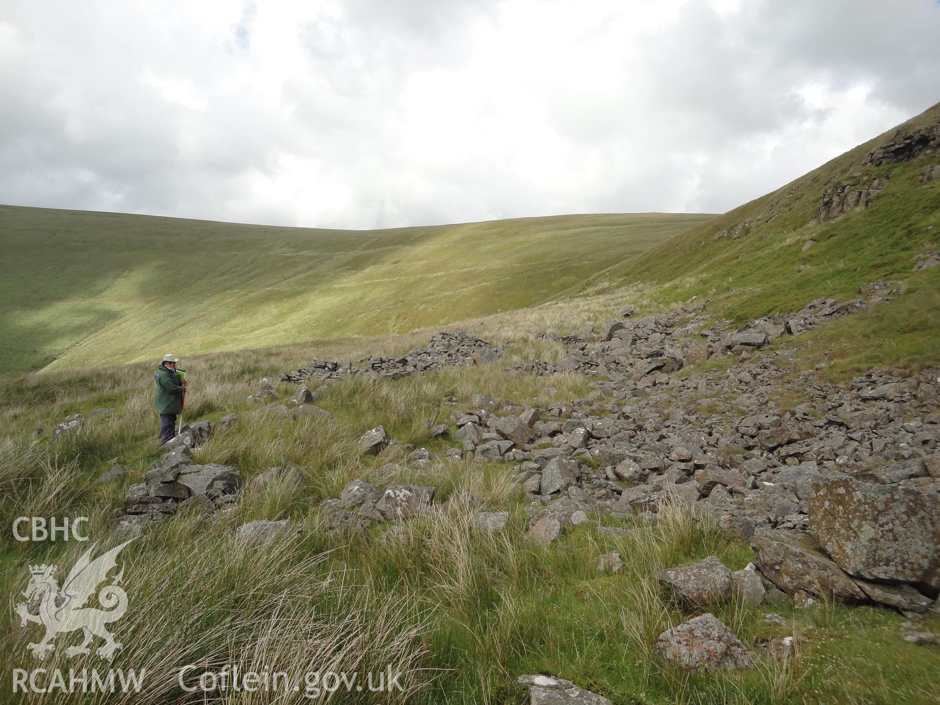 Sheep fold