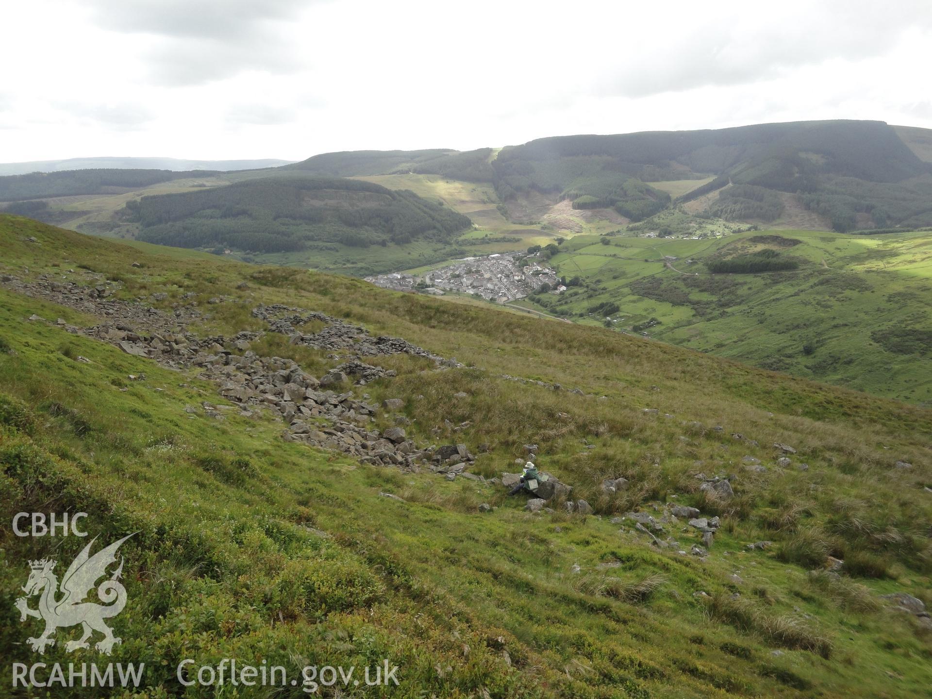 Sheep fold