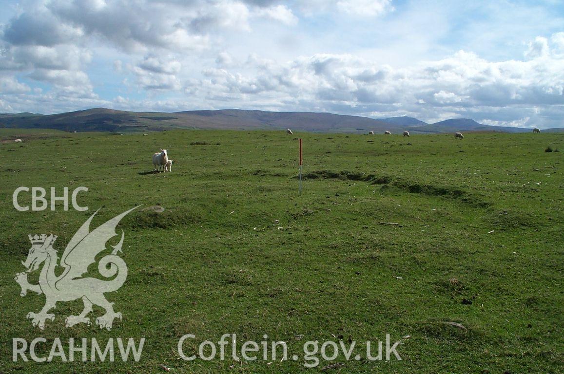 Digital photograph of Maes Merddyn Ring Cairn taken on 27/05/2002 by Oxford Archaeology North during the Mynydd Hiraethog Upland Survey