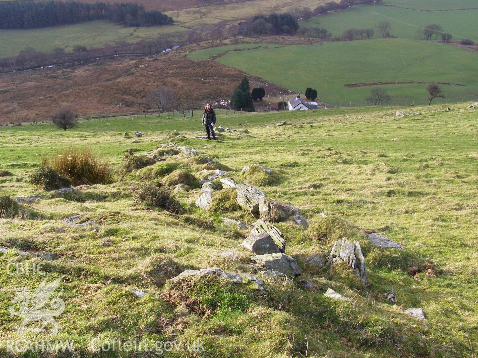 Photograph of Wall north east of Gelli Ffrydiau taken on 03/02/2006 by P.J. Schofield during an Upland Survey undertaken by Oxford Archaeology North.