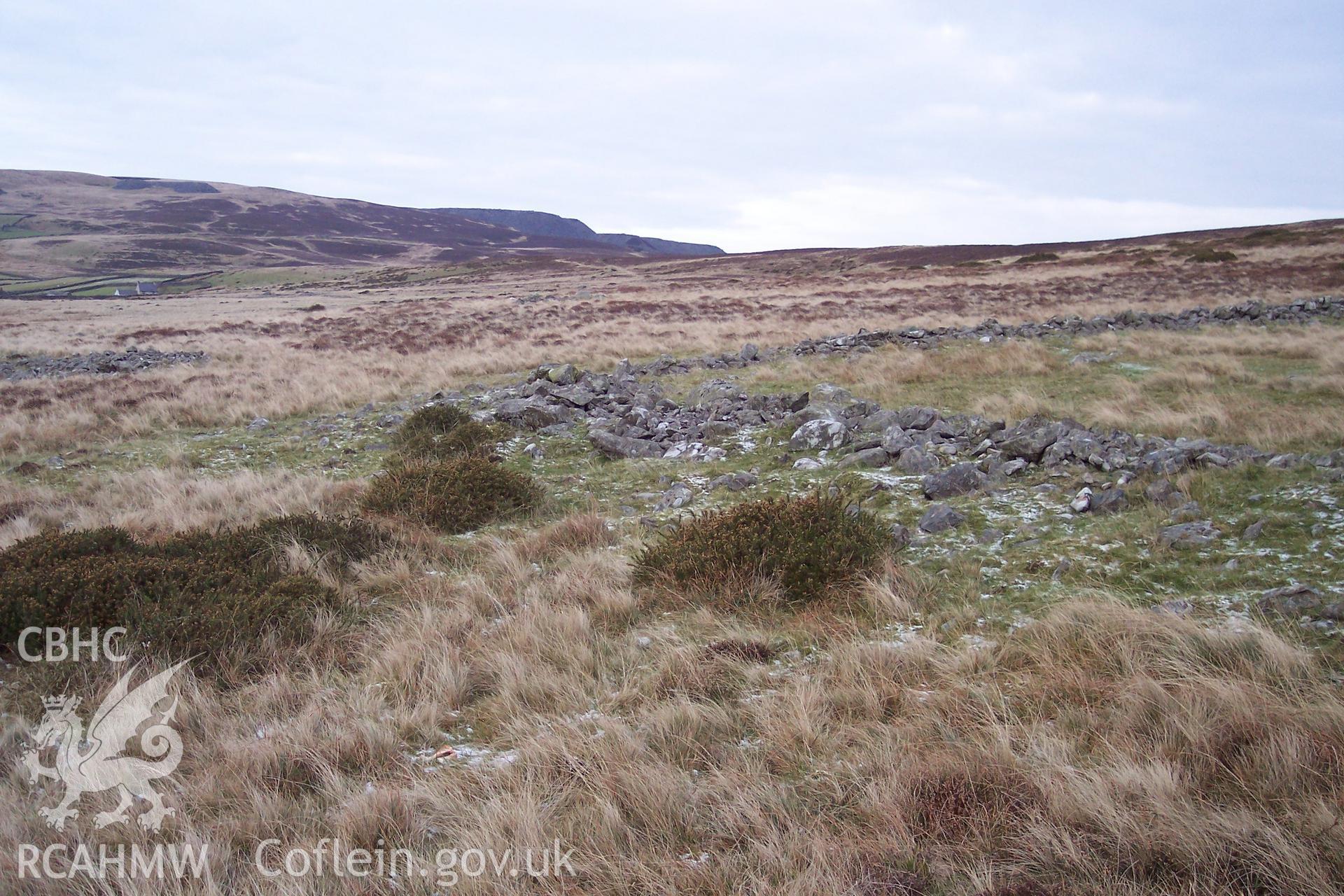 Photograph of Field System II north east of Gelli Ffrydiau taken on 06/01/2006 by P.J. Schofield during an Upland Survey undertaken by Oxford Archaeology North.