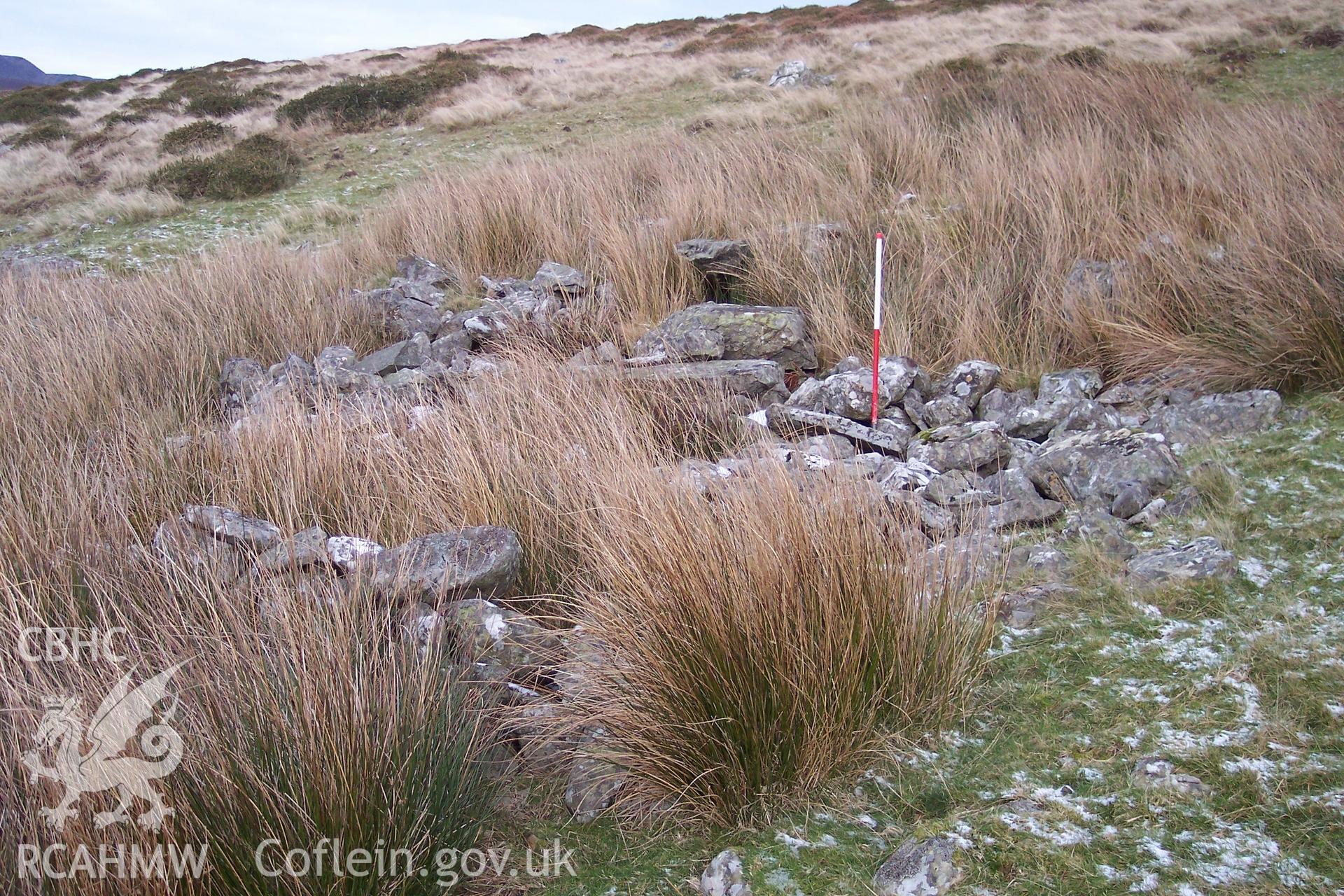 Photograph of Gelli Ffrydiau Platform House taken on 06/01/2006 by P.J. Schofield during an Upland Survey undertaken by Oxford Archaeology North.