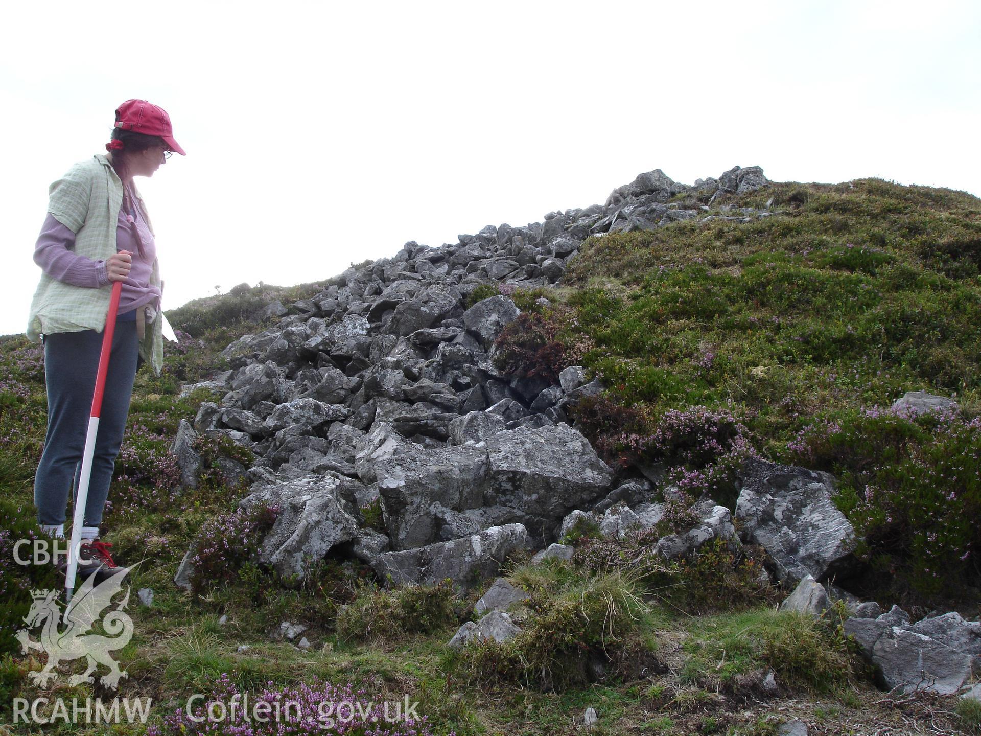 Digital colour photograph of Plynlimon Cwm-Biga cairn I taken on 08/08/2006 by R.P. Sambrook during the Plynlimon Glaslyn South Upland survey undertaken by Trysor.