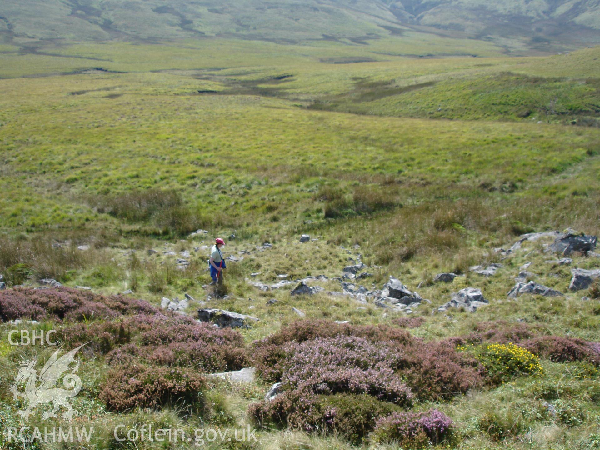 Digital colour photograph of Foel Isaf enclosure I taken on 10/09/2006 by R.P. Sambrook during the Plynlimon Glaslyn South Upland survey undertaken by Trysor.