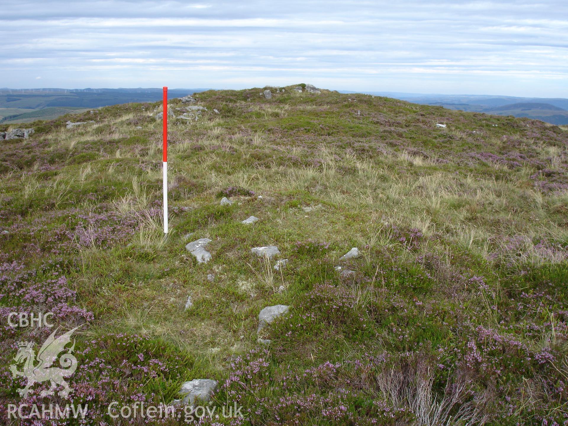 Digital colour photograph of Plynlimon Cwm-Biga cairn II taken on 08/08/2006 by R.P. Sambrook during the Plynlimon Glaslyn South Upland survey undertaken by Trysor.