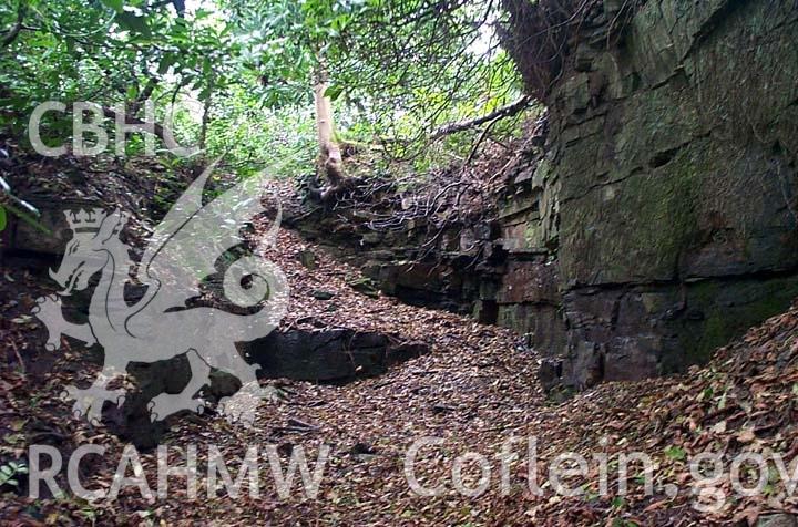 Digital colour photograph showing the site of an old waterfall at the Penllergare Estate.