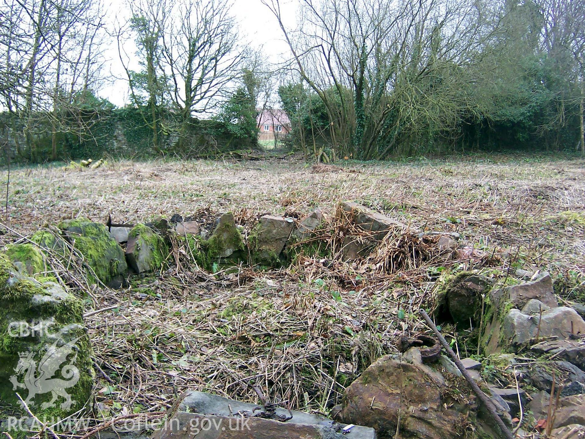 Digital colour photograph looking South over a pond at Penllergare.