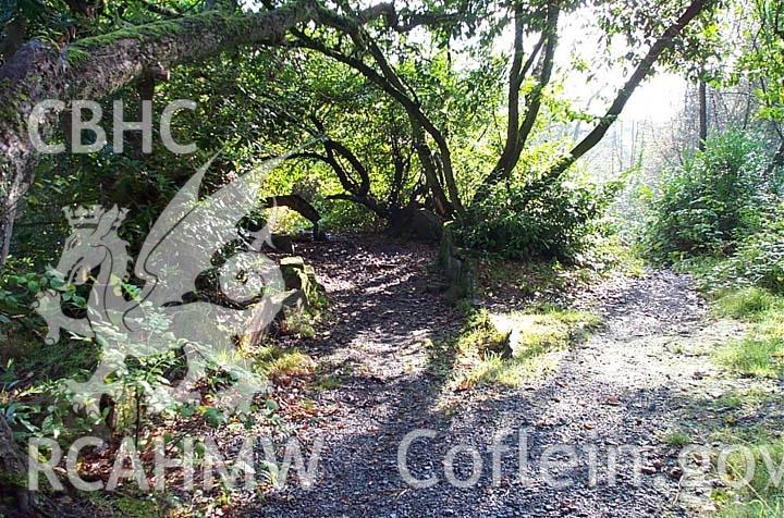 Digital colour photograph showing the site of the dam at Penllergare.