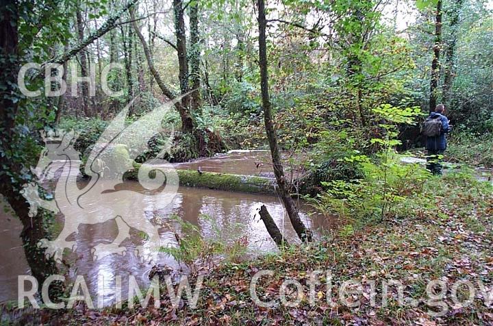 Digital colour photograph of a weir at the Penllergare Estate.