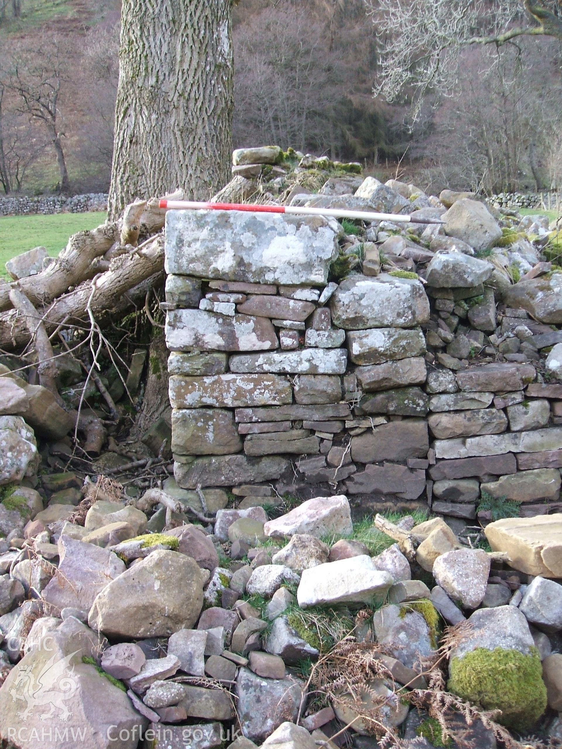 Digital colour photograph of a house at Blaen Cwmclaisfer II taken on 04/03/2009 by B. Britton during the Mynydd Llangynidr Upland Survey undertaken by ArchaeoPhysica.