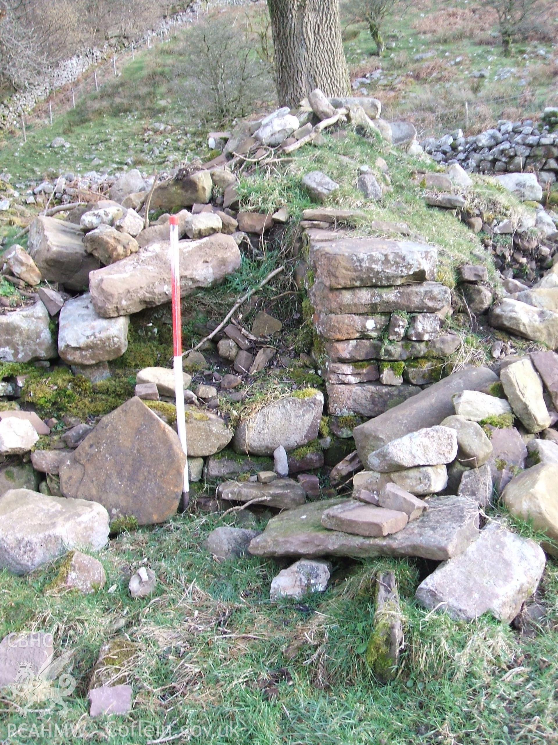 Digital colour photograph of a house at Blaen Cwmclaisfer II taken on 04/03/2009 by B. Britton during the Mynydd Llangynidr Upland Survey undertaken by ArchaeoPhysica.