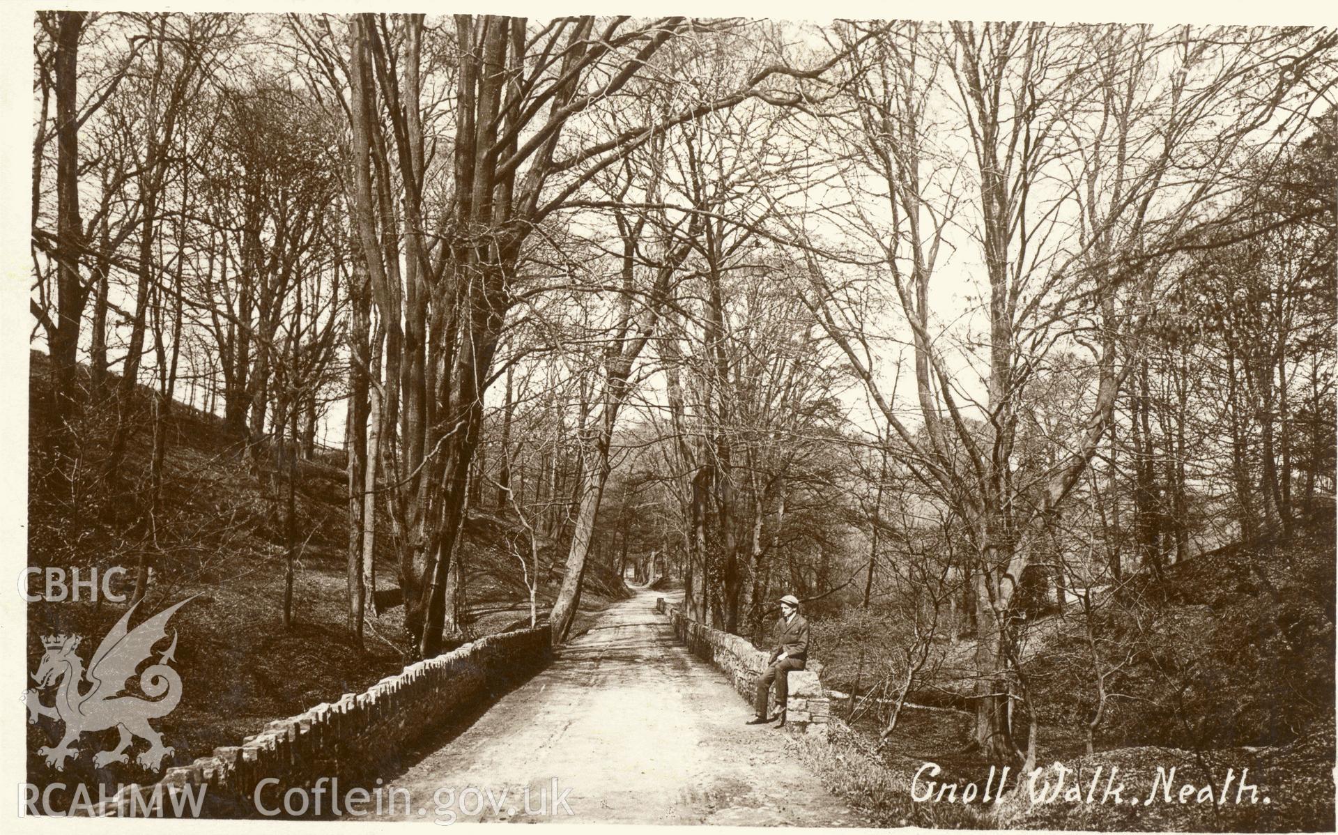 Digitised postcard image of Gnoll House garden, Neath, showing Gnoll Walk. Produced by Parks and Gardens Data Services, from an original item in the Peter Davis Collection at Parks and Gardens UK. We hold only web-resolution images of this collection, suitable for viewing on screen and for research purposes only. We do not hold the original images, or publication quality scans.