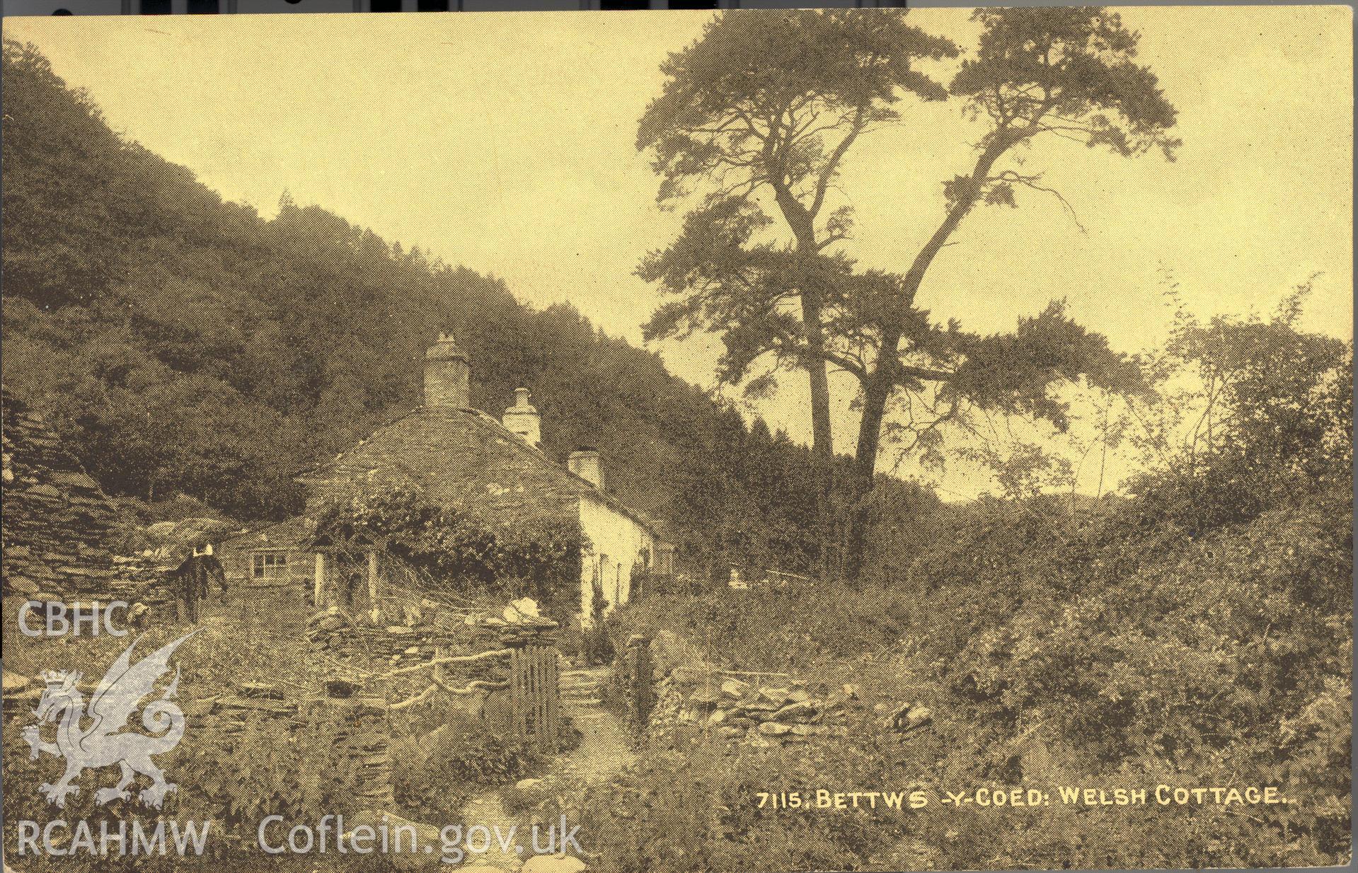 Digitised postcard image of Welsh Cottage or Elsie Cottage at Betws-y-Coed, Photochrom Co. Ltd. Produced by Parks and Gardens Data Services, from an original item in the Peter Davis Collection at Parks and Gardens UK. We hold only web-resolution images of this collection, suitable for viewing on screen and for research purposes only. We do not hold the original images, or publication quality scans.