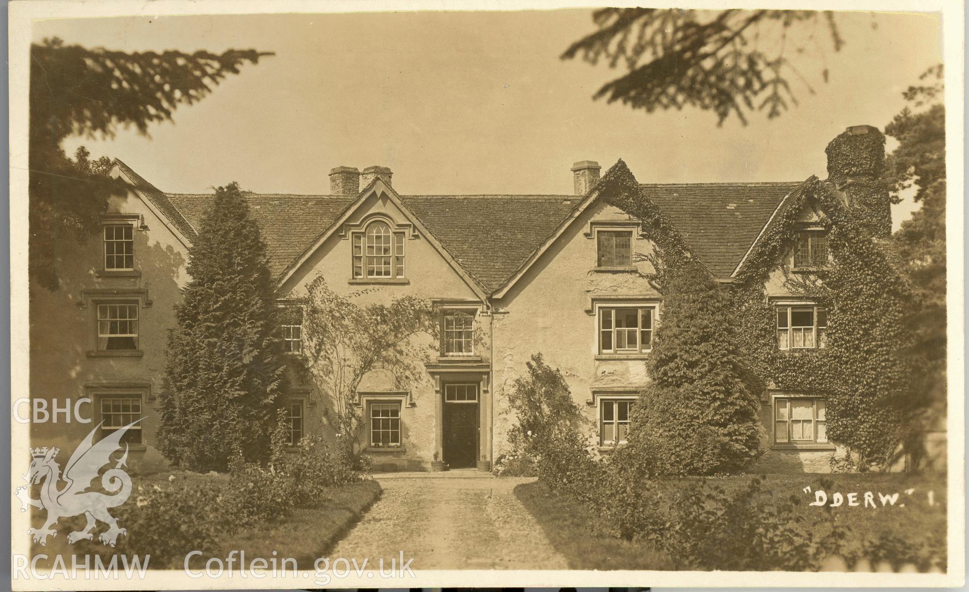 Digitised postcard image of Dderw, Wallace Jones. Produced by Parks and Gardens Data Services, from an original item in the Peter Davis Collection at Parks and Gardens UK. We hold only web-resolution images of this collection, suitable for viewing on screen and for research purposes only. We do not hold the original images, or publication quality scans.