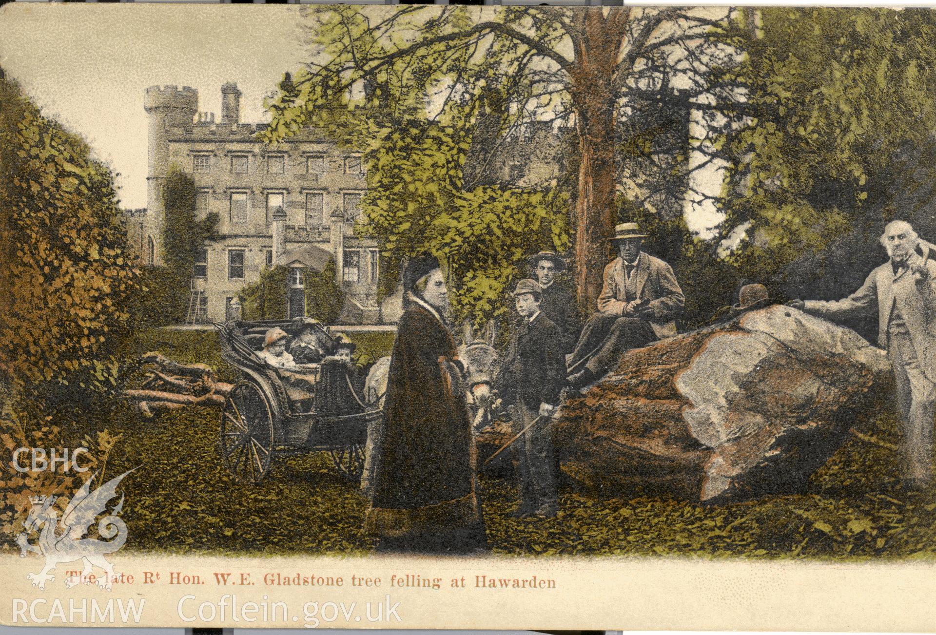 Digitised postcard image of Hawarden Castle showing Gladstone and tree felling, J.H. Worley, Stationer, Hawarden. Produced by Parks and Gardens Data Services, from an original item in the Peter Davis Collection at Parks and Gardens UK. We hold only web-resolution images of this collection, suitable for viewing on screen and for research purposes only. We do not hold the original images, or publication quality scans.