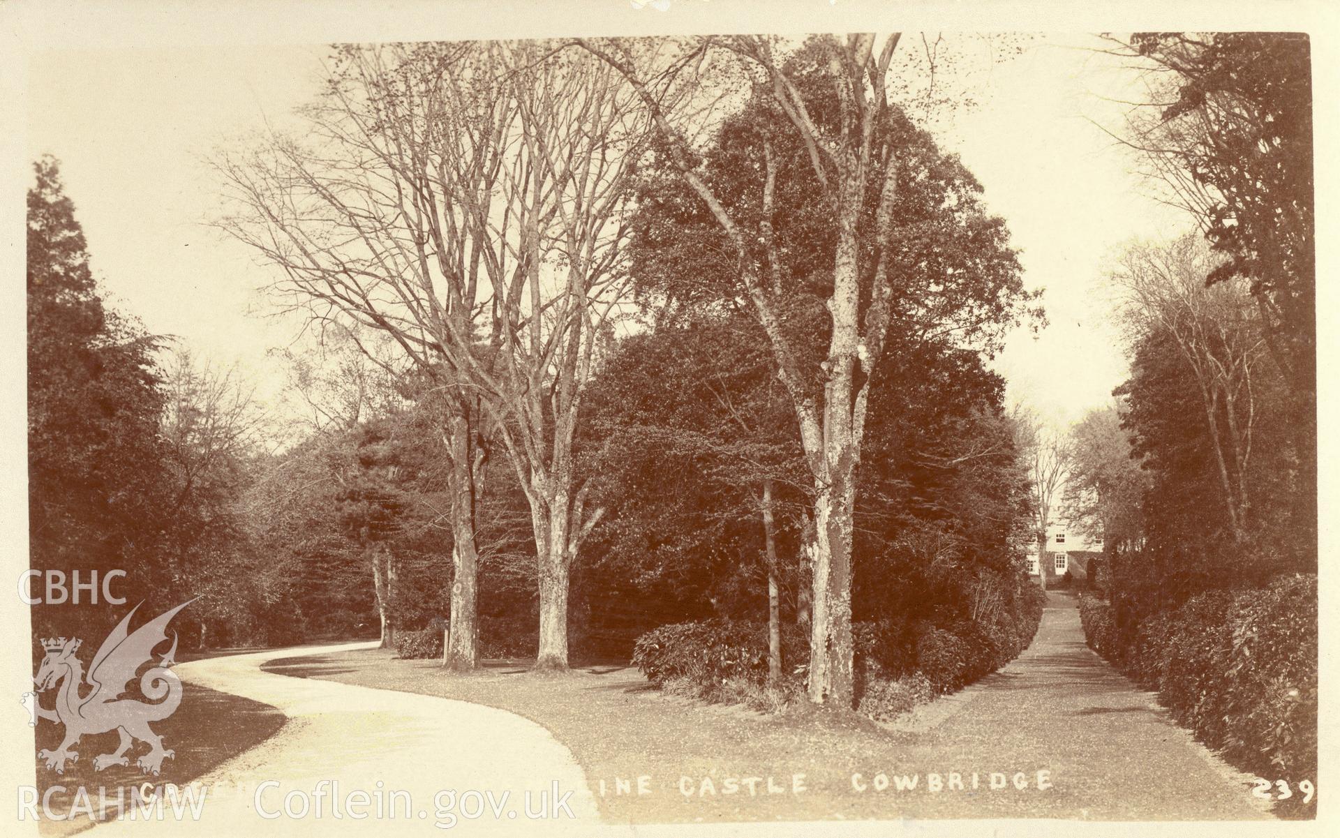 Digitised postcard image of Penllyn Castle grounds, Penllyn, E. Miles, Photographer, Bridgend. Produced by Parks and Gardens Data Services, from an original item in the Peter Davis Collection at Parks and Gardens UK. We hold only web-resolution images of this collection, suitable for viewing on screen and for research purposes only. We do not hold the original images, or publication quality scans.