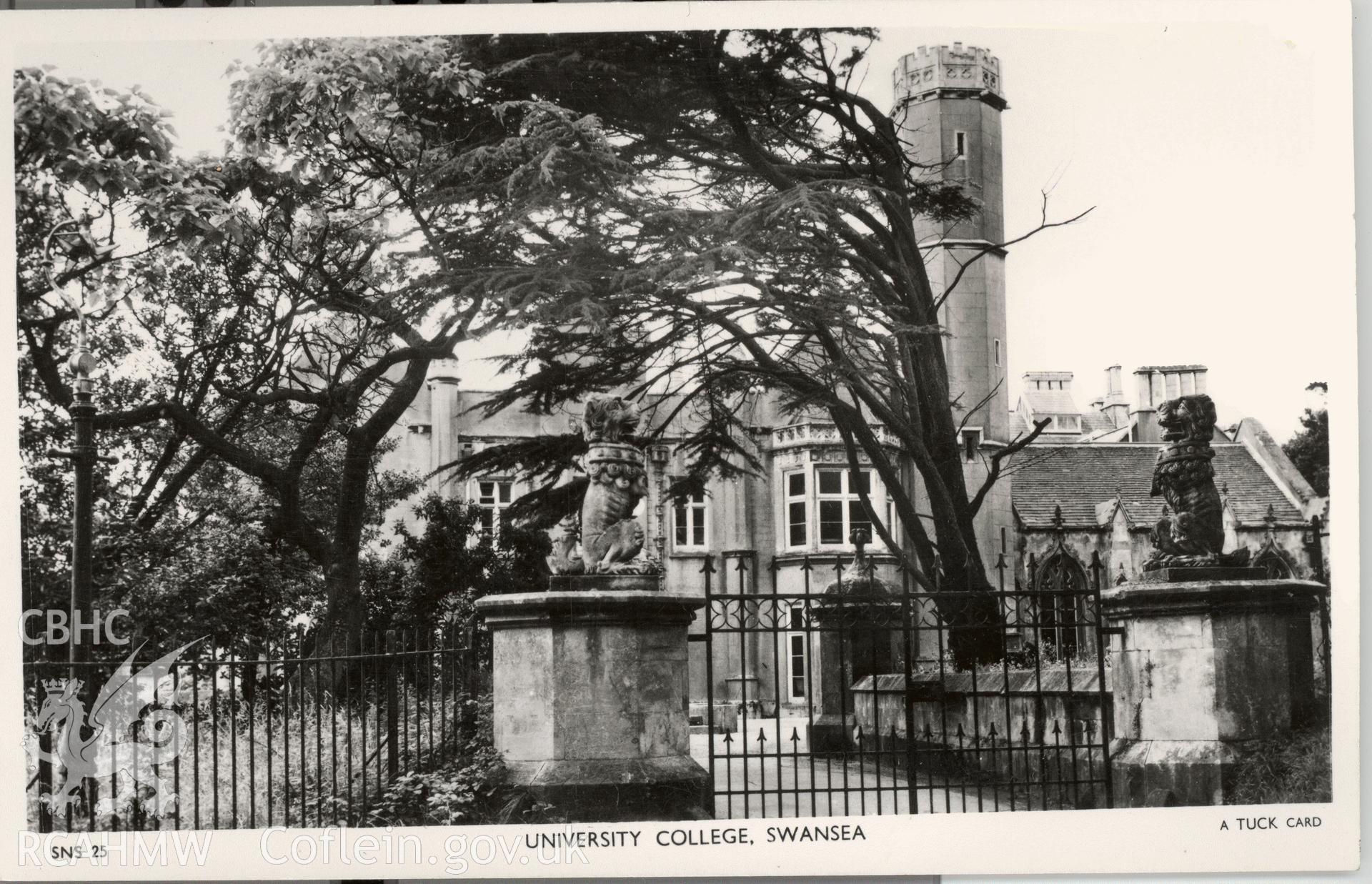 Digitised postcard image of Singleton Abbey, Swansea, showing Heraldic lions on gateposts, Raphael Tuck and Sons Ltd. Produced by Parks and Gardens Data Services, from an original item in the Peter Davis Collection at Parks and Gardens UK. We hold only web-resolution images of this collection, suitable for viewing on screen and for research purposes only. We do not hold the original images, or publication quality scans.