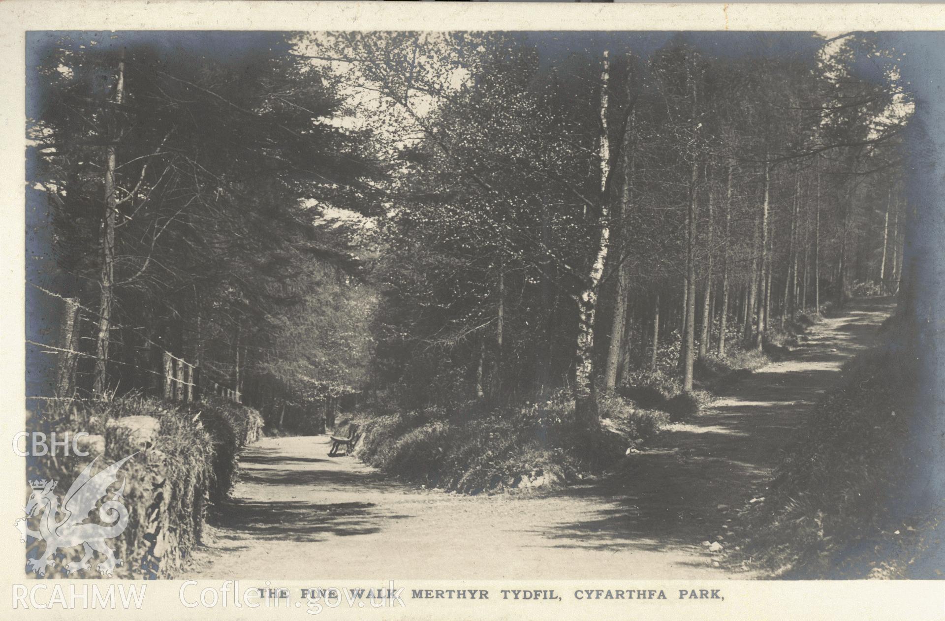 Digitised postcard image of Cyfarthfa Park, Merthyr Tydfil, showing the Pine Walk, H.W. Southey & Sons Ltd.,Publishers, Merthyr Tydyfil. Produced by Parks and Gardens Data Services, from an original item in the Peter Davis Collection at Parks and Gardens UK. We hold only web-resolution images of this collection, suitable for viewing on screen and for research purposes only. We do not hold the original images, or publication quality scans.