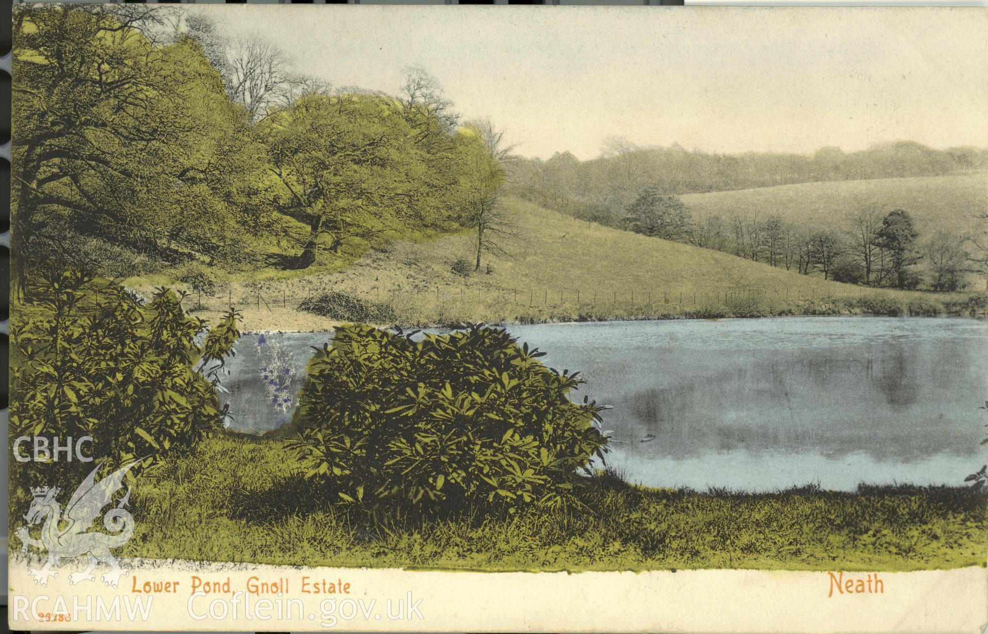 Digitised postcard image of Gnoll House garden, Neath, showing lower pond, Stengel and Co., London. Produced by Parks and Gardens Data Services, from an original item in the Peter Davis Collection at Parks and Gardens UK. We hold only web-resolution images of this collection, suitable for viewing on screen and for research purposes only. We do not hold the original images, or publication quality scans.