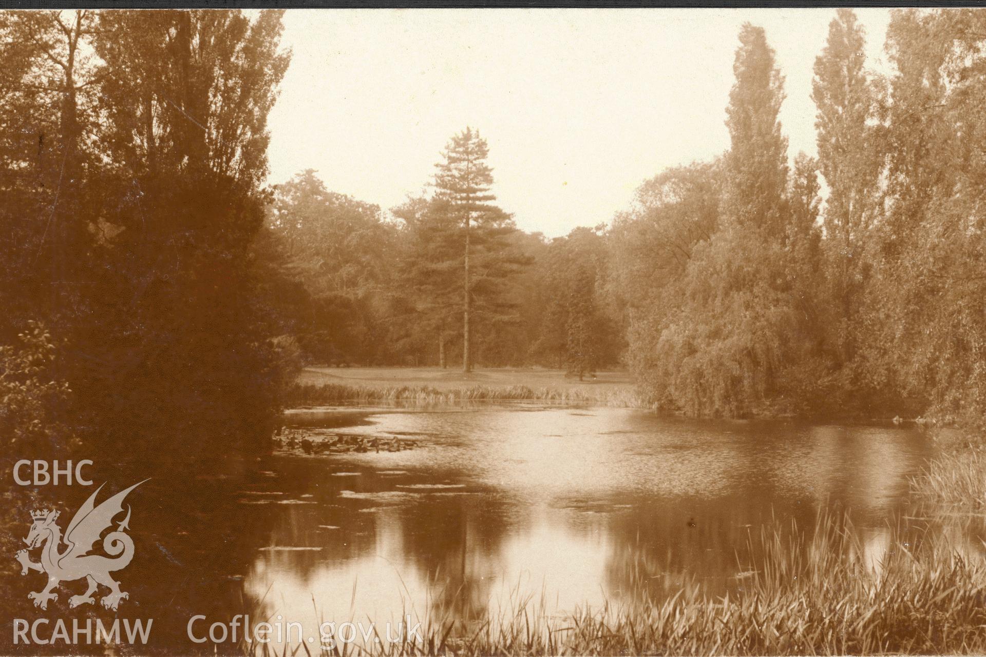 Digitised postcard image of Nanteos grounds, Llanfarian. Produced by Parks and Gardens Data Services, from an original item in the Peter Davis Collection at Parks and Gardens UK. We hold only web-resolution images of this collection, suitable for viewing on screen and for research purposes only. We do not hold the original images, or publication quality scans.