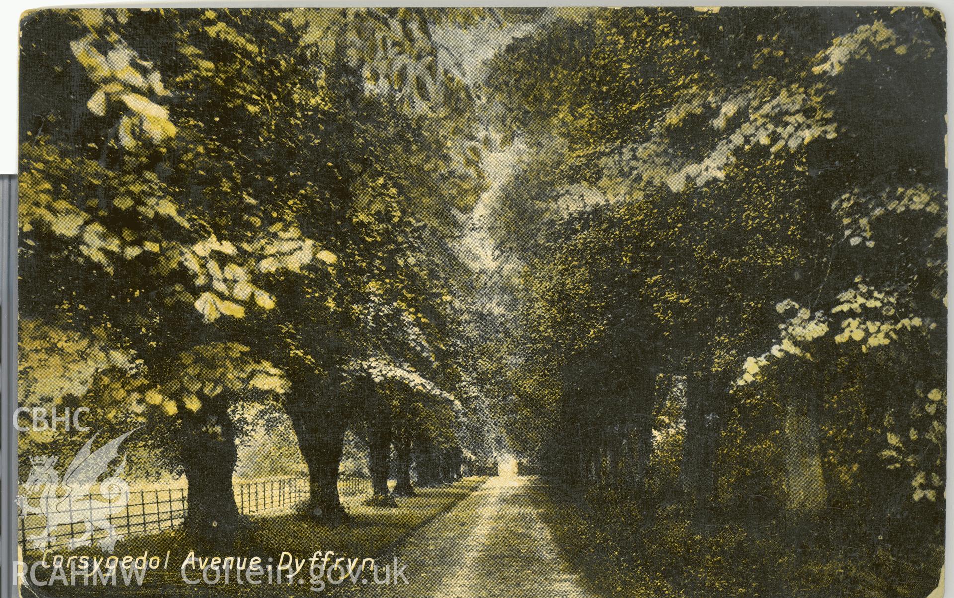 Digitised postcard image of Cors-y-Gedol gardens, showing avenue, Maglona Series. Produced by Parks and Gardens Data Services, from an original item in the Peter Davis Collection at Parks and Gardens UK. We hold only web-resolution images of this collection, suitable for viewing on screen and for research purposes only. We do not hold the original images, or publication quality scans.