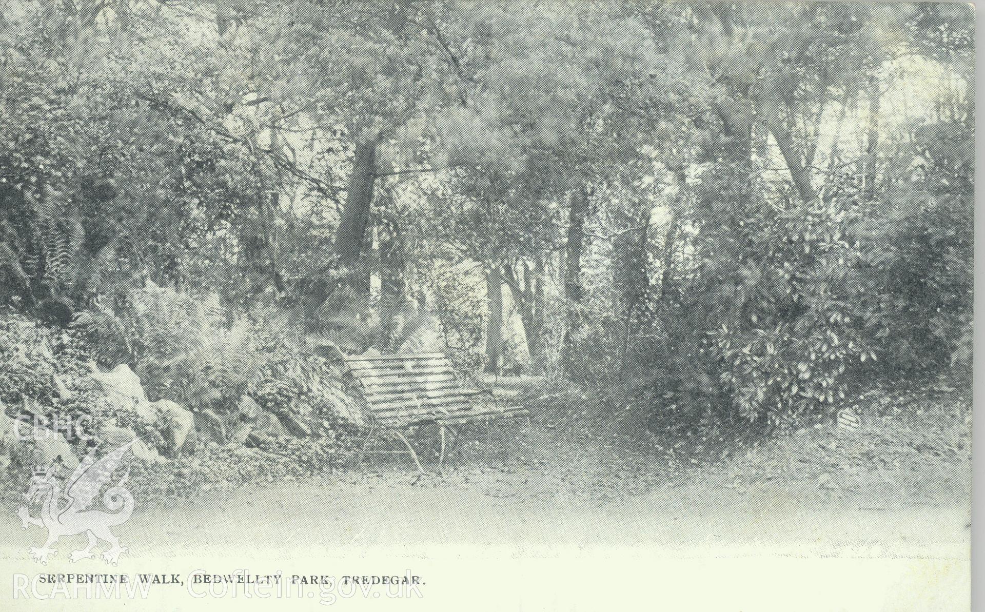 Digitised postcard image of Serpentine Walk, Bedwellty Park. Produced by Parks and Gardens Data Services, from an original item in the Peter Davis Collection at Parks and Gardens UK. We hold only web-resolution images of this collection, suitable for viewing on screen and for research purposes only. We do not hold the original images, or publication quality scans.