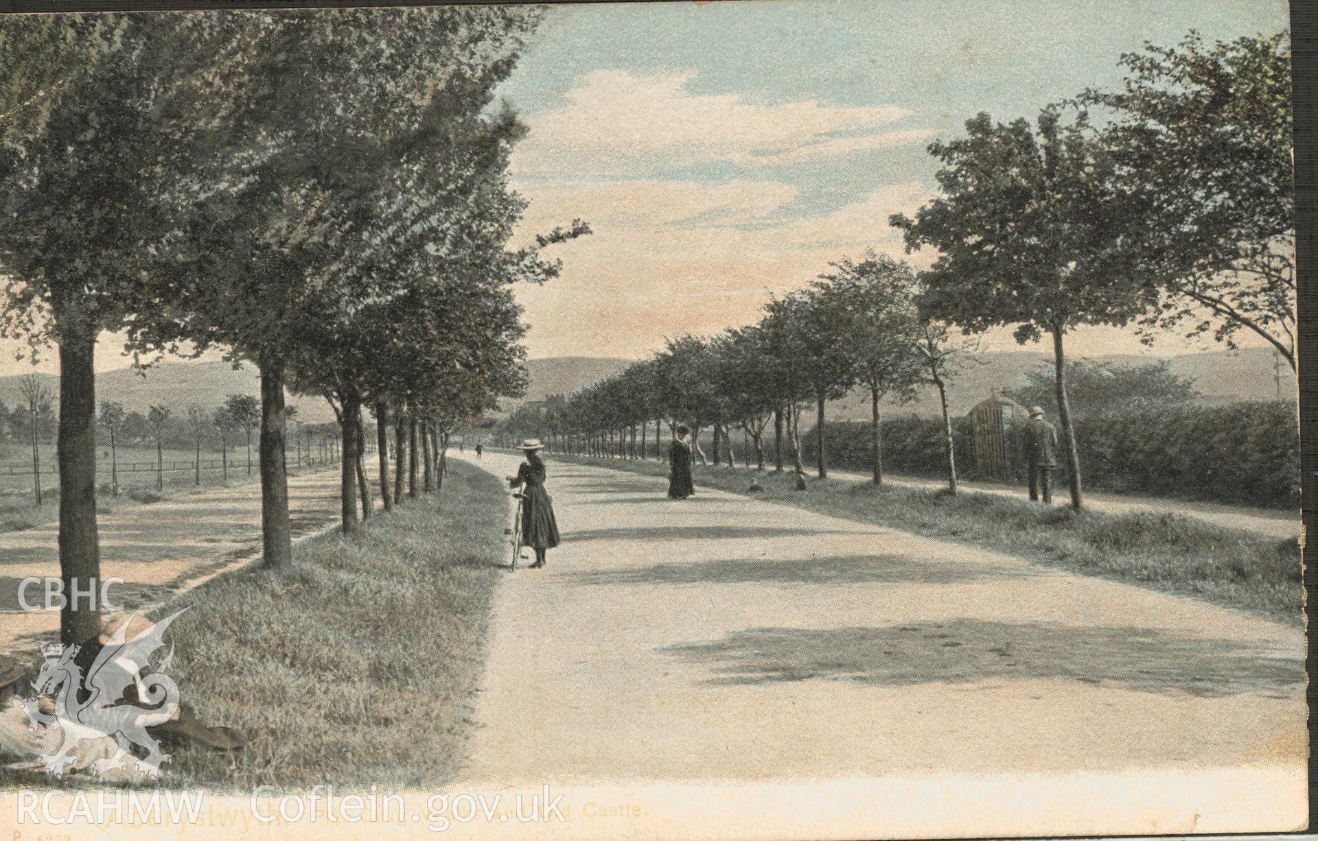 Digitised postcard image of Plascrug Avenue, Aberystwyth, The Pictorial Stationery Co. Ltd. Produced by Parks and Gardens Data Services, from an original item in the Peter Davis Collection at Parks and Gardens UK. We hold only web-resolution images of this collection, suitable for viewing on screen and for research purposes only. We do not hold the original images, or publication quality scans.