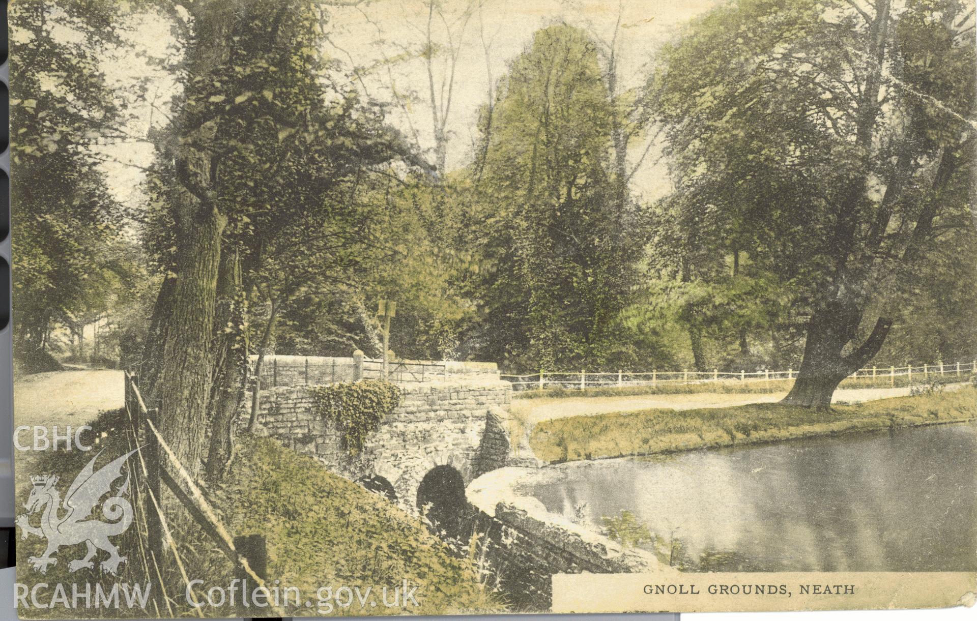 Digitised postcard image of Gnoll House garden, Neath, showing lower, the Wykeham collection. Produced by Parks and Gardens Data Services, from an original item in the Peter Davis Collection at Parks and Gardens UK. We hold only web-resolution images of this collection, suitable for viewing on screen and for research purposes only. We do not hold the original images, or publication quality scans.