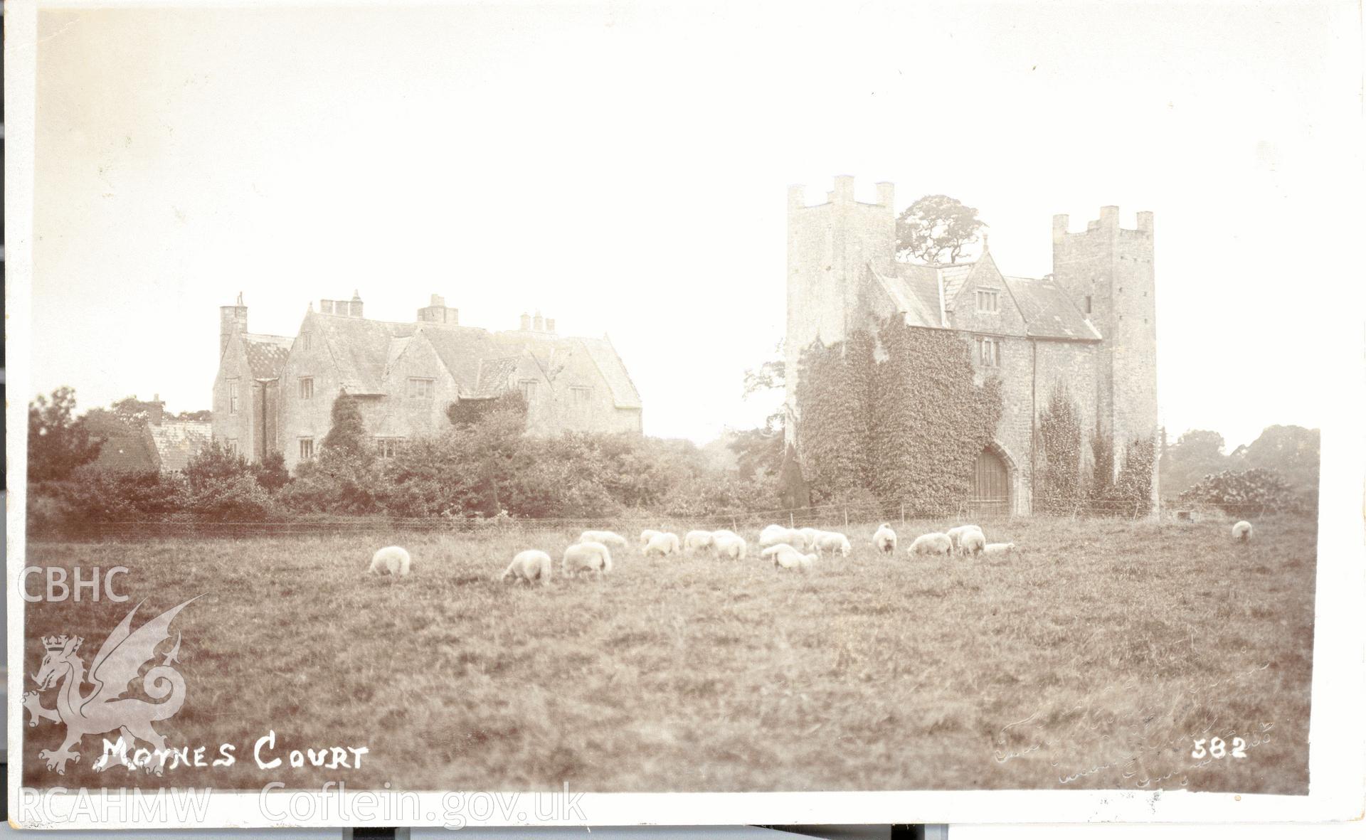 Digitised postcard image of Moynes Court, Mathern, with sheep, W.A. Call, the County Studio, Monmouth. Produced by Parks and Gardens Data Services, from an original item in the Peter Davis Collection at Parks and Gardens UK. We hold only web-resolution images of this collection, suitable for viewing on screen and for research purposes only. We do not hold the original images, or publication quality scans.