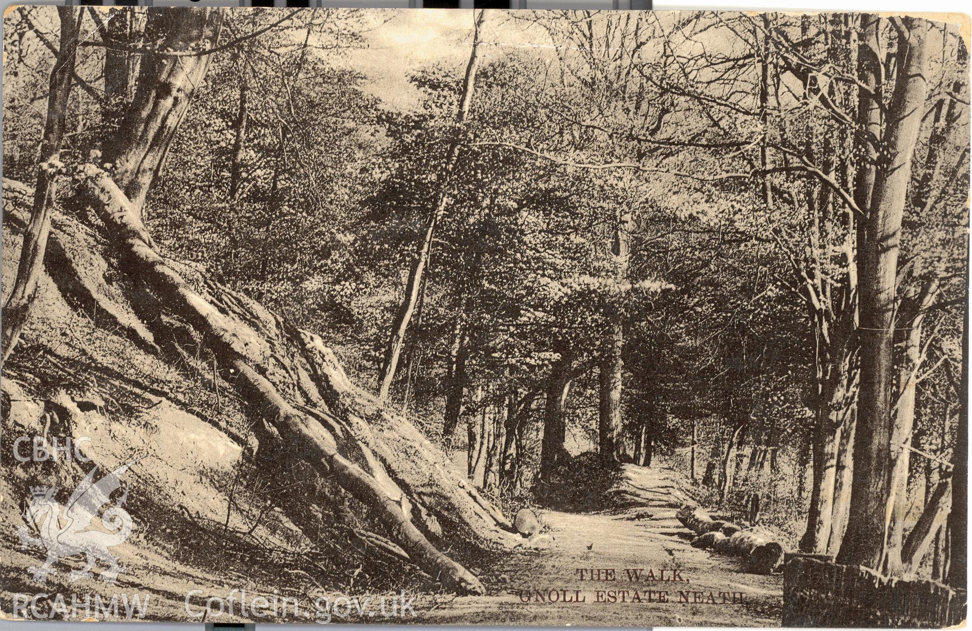 Digitised postcard image of Gnoll House garden, Neath, showing Gnoll walk, F.W. Holloway, Windsor Road, Neath. Produced by Parks and Gardens Data Services, from an original item in the Peter Davis Collection at Parks and Gardens UK. We hold only web-resolution images of this collection, suitable for viewing on screen and for research purposes only. We do not hold the original images, or publication quality scans.