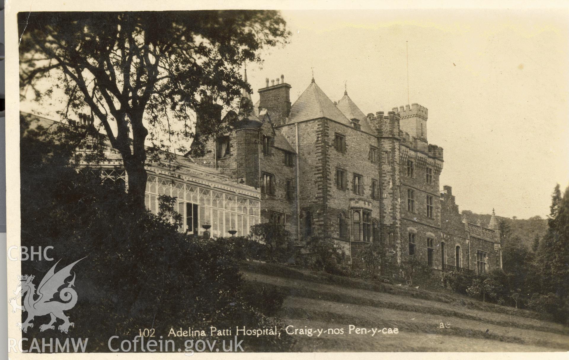 Digitised postcard image of Craig y Nos Castle, Glyntawe. Produced by Parks and Gardens Data Services, from an original item in the Peter Davis Collection at Parks and Gardens UK. We hold only web-resolution images of this collection, suitable for viewing on screen and for research purposes only. We do not hold the original images, or publication quality scans.