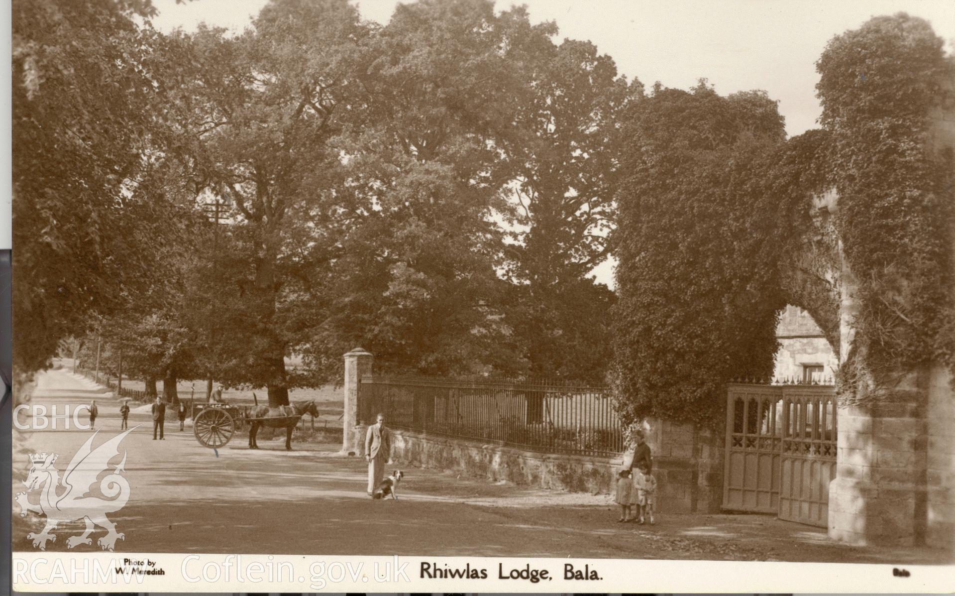 Digitised postcard image of Rhiwlas garden, Bala, driveway and gates, W. Meredith, Bala. Produced by Parks and Gardens Data Services, from an original item in the Peter Davis Collection at Parks and Gardens UK. We hold only web-resolution images of this collection, suitable for viewing on screen and for research purposes only. We do not hold the original images, or publication quality scans.