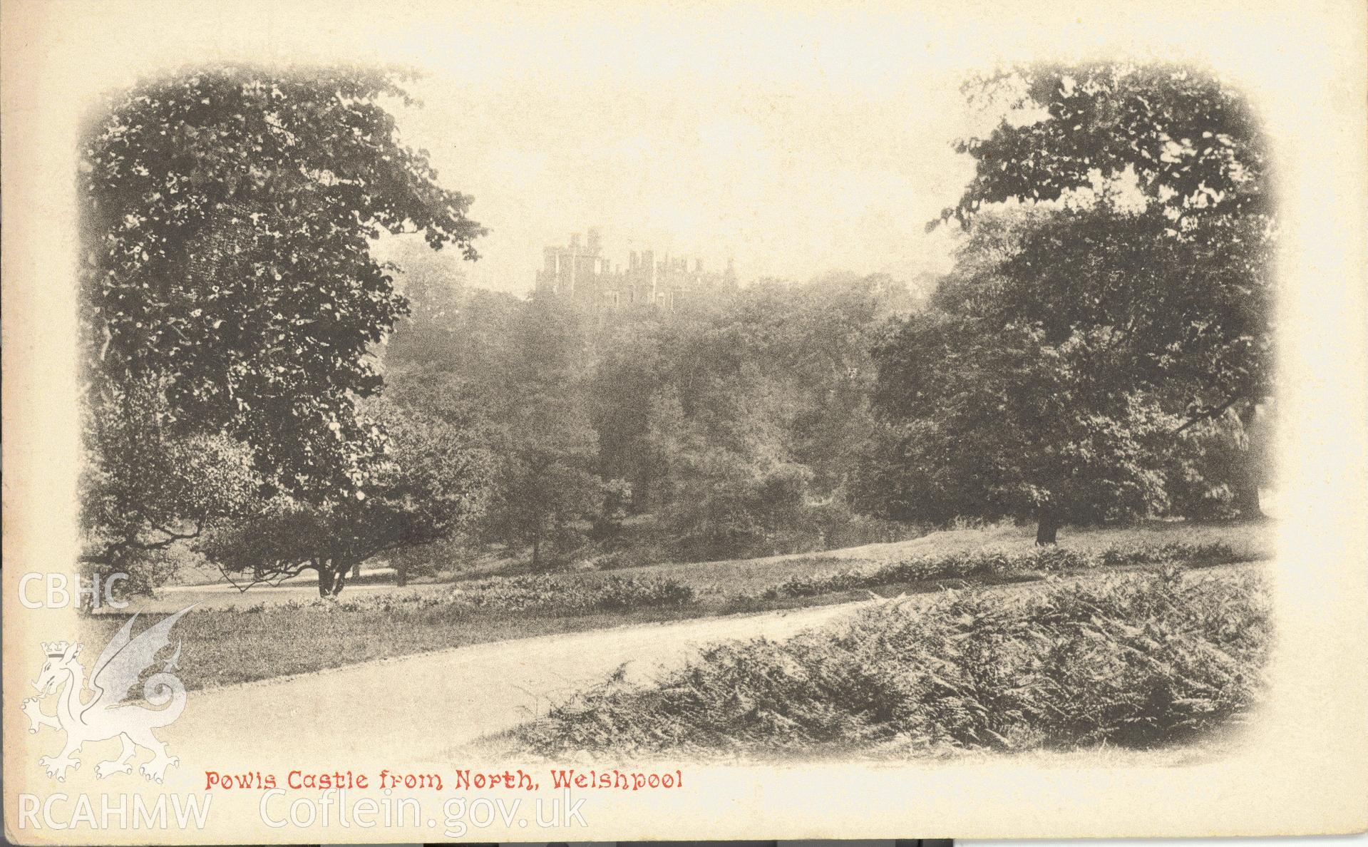 Digitised postcard image of park drive at Powis Castle, Gwynne, Printer, Welshpool. Produced by Parks and Gardens Data Services, from an original item in the Peter Davis Collection at Parks and Gardens UK. We hold only web-resolution images of this collection, suitable for viewing on screen and for research purposes only. We do not hold the original images, or publication quality scans.