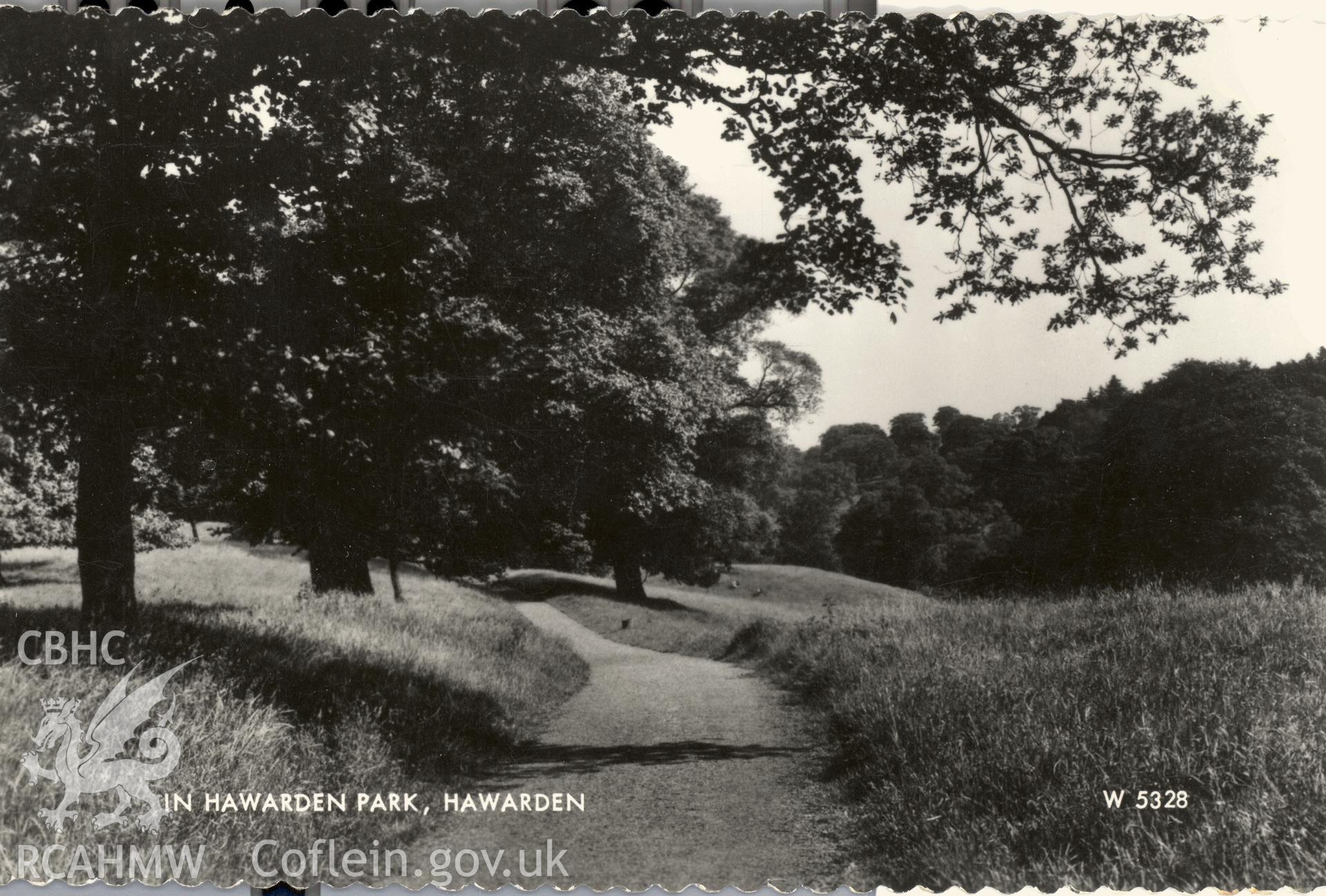 Digitised postcard image of Hawarden Castle grounds, Valentine's Series. Produced by Parks and Gardens Data Services, from an original item in the Peter Davis Collection at Parks and Gardens UK. We hold only web-resolution images of this collection, suitable for viewing on screen and for research purposes only. We do not hold the original images, or publication quality scans.