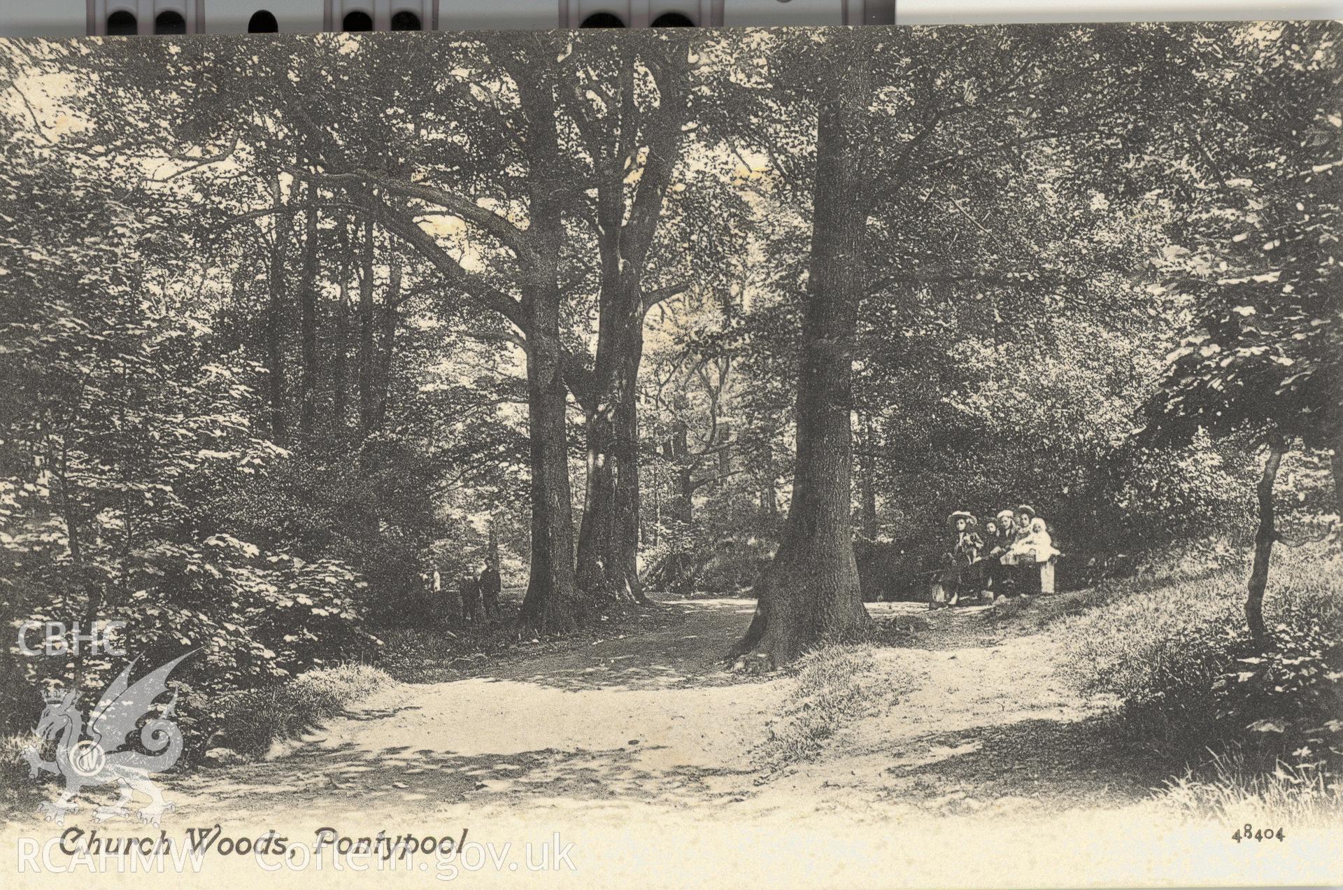 Digitised postcard image of Church woods, Pontypool Park, Valentine's Series,. Produced by Parks and Gardens Data Services, from an original item in the Peter Davis Collection at Parks and Gardens UK. We hold only web-resolution images of this collection, suitable for viewing on screen and for research purposes only. We do not hold the original images, or publication quality scans.